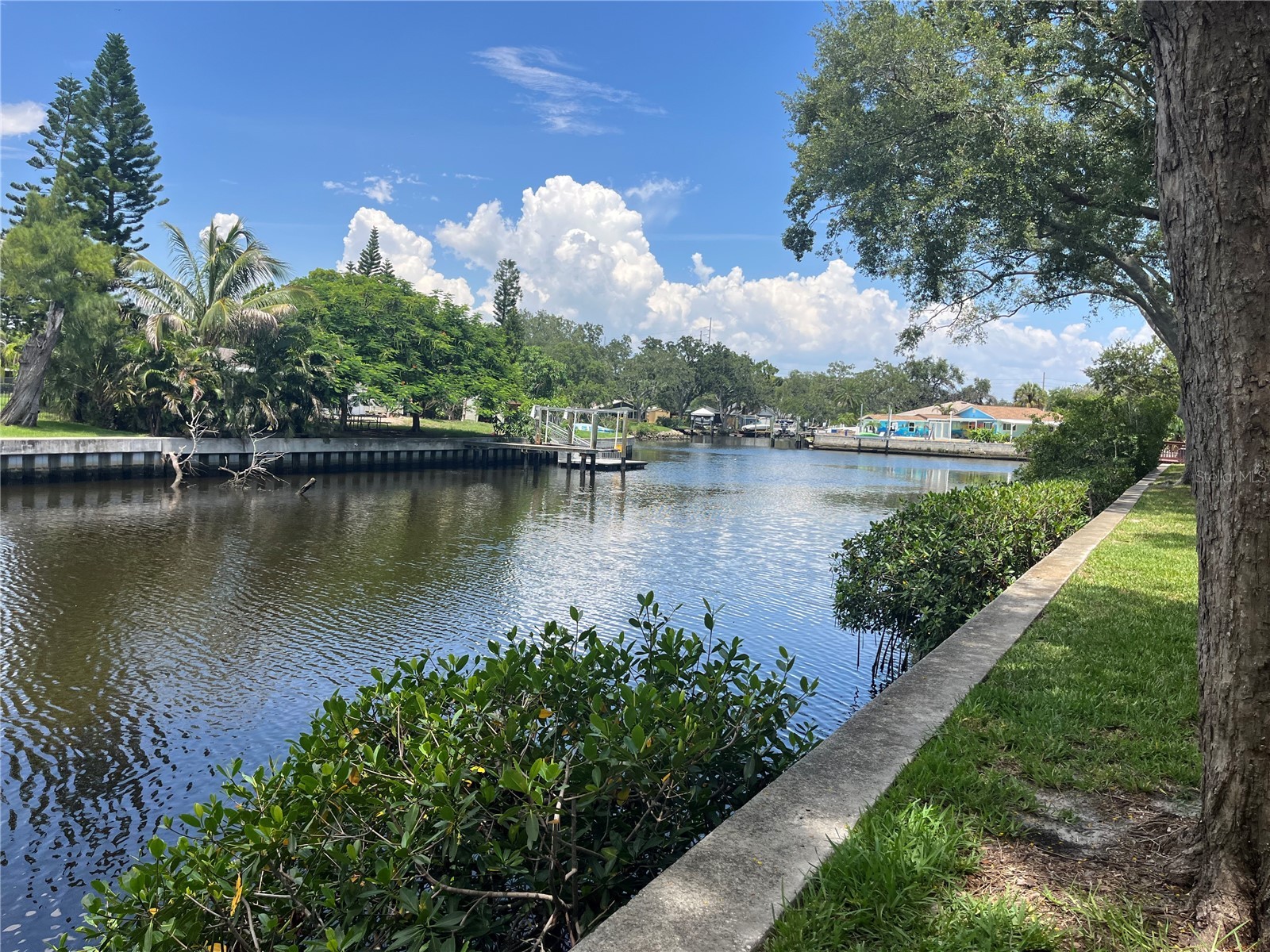 9105 Tudor Drive #F103 Tampa FL 33615 TB8527133 image14