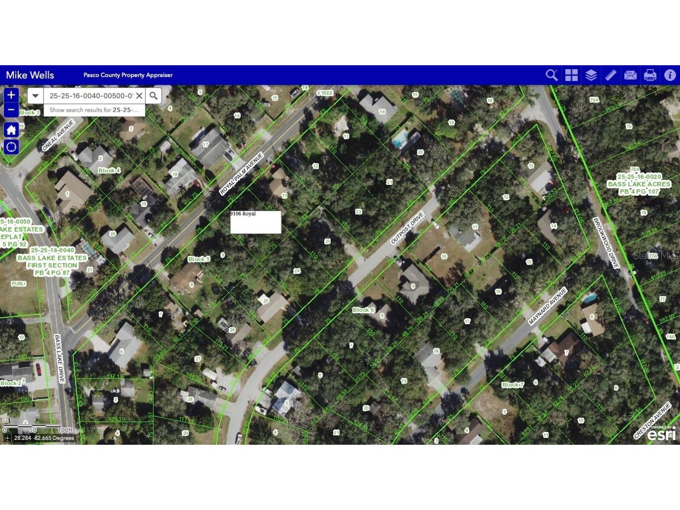 9106 Royal Palm Avenue New Port Richey FL 34654 U8162088 image1