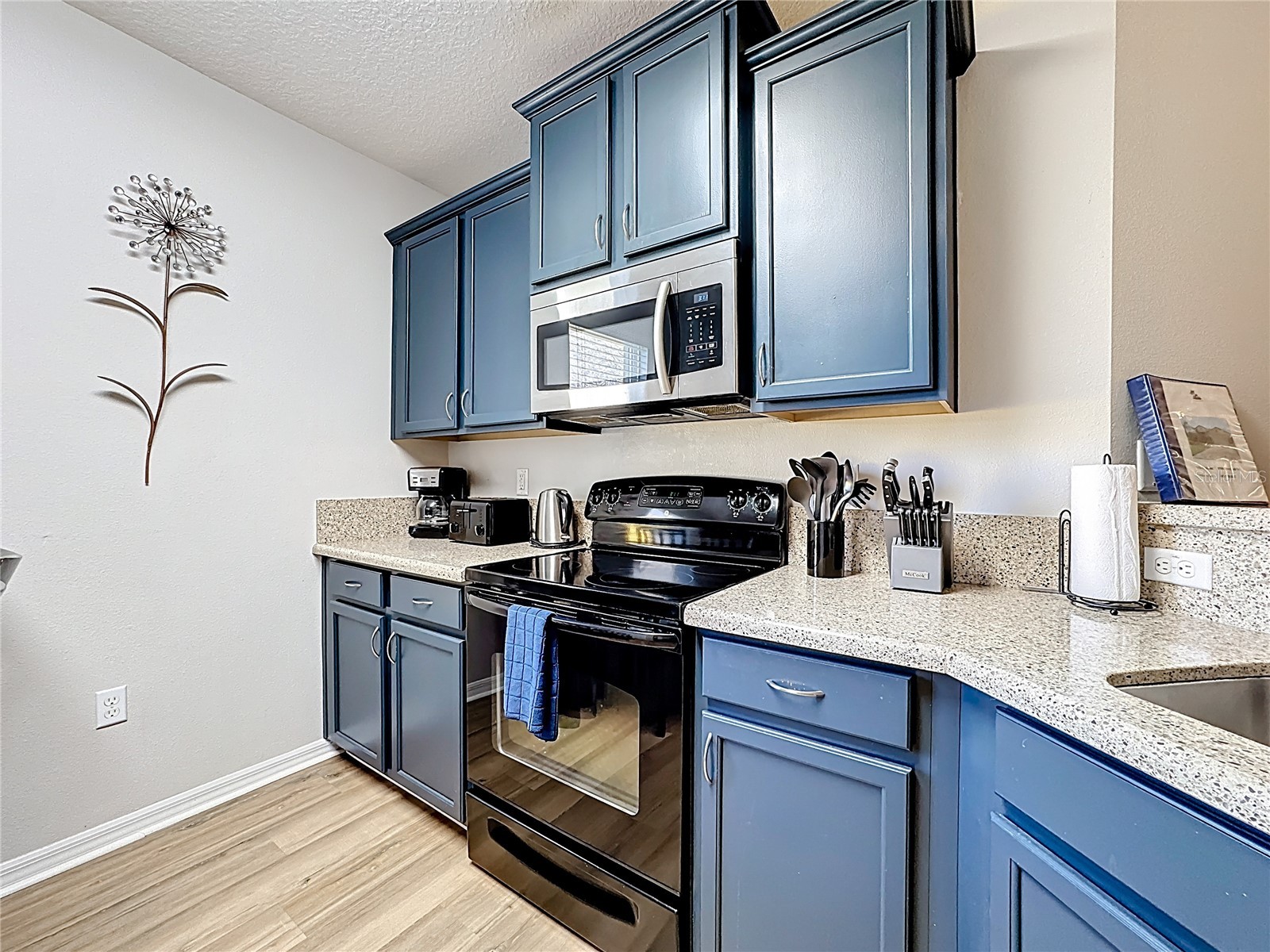 9106 Stromboli Court Kissimmee FL 34747 O6374785 image25