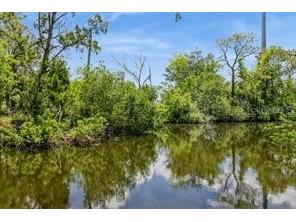 9107 Brunswick Lane Tampa FL 33615 TB8448241 image8