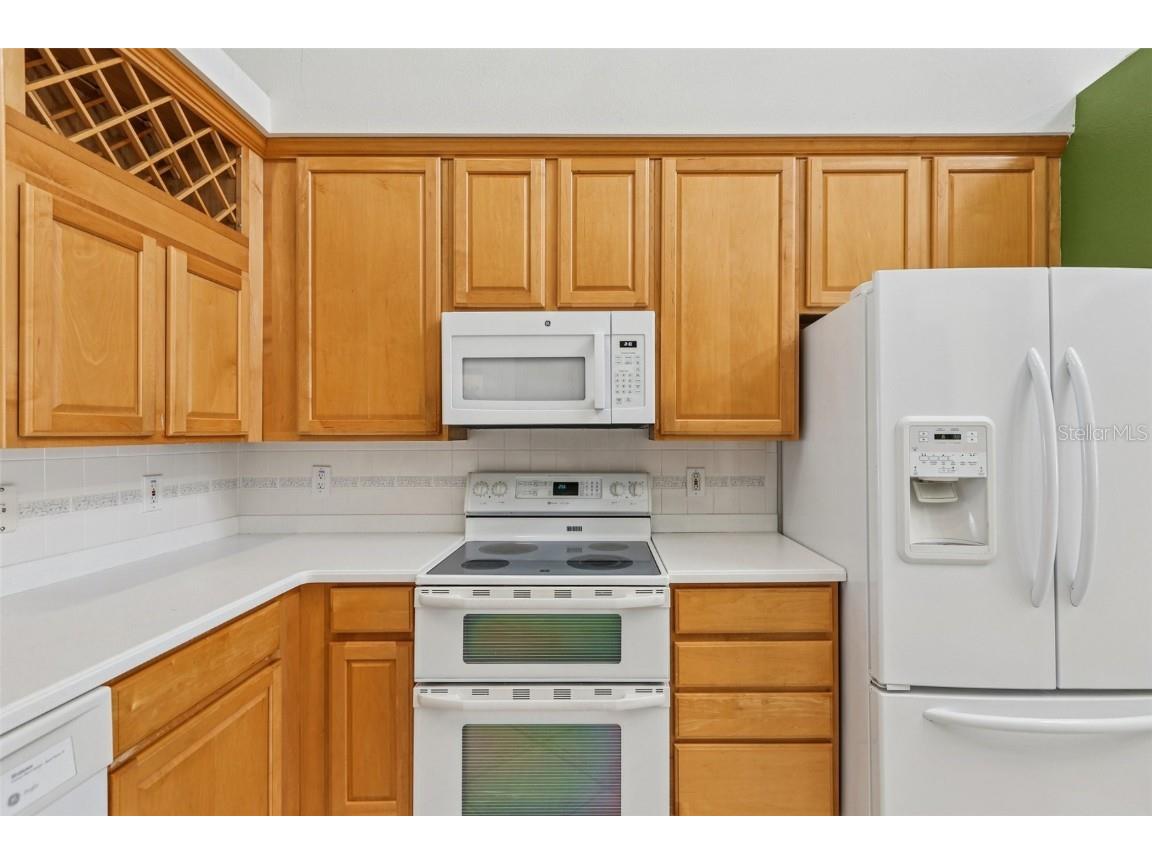 9107 Cypress Keep Lane Odessa FL 33556 TB8451818 image23