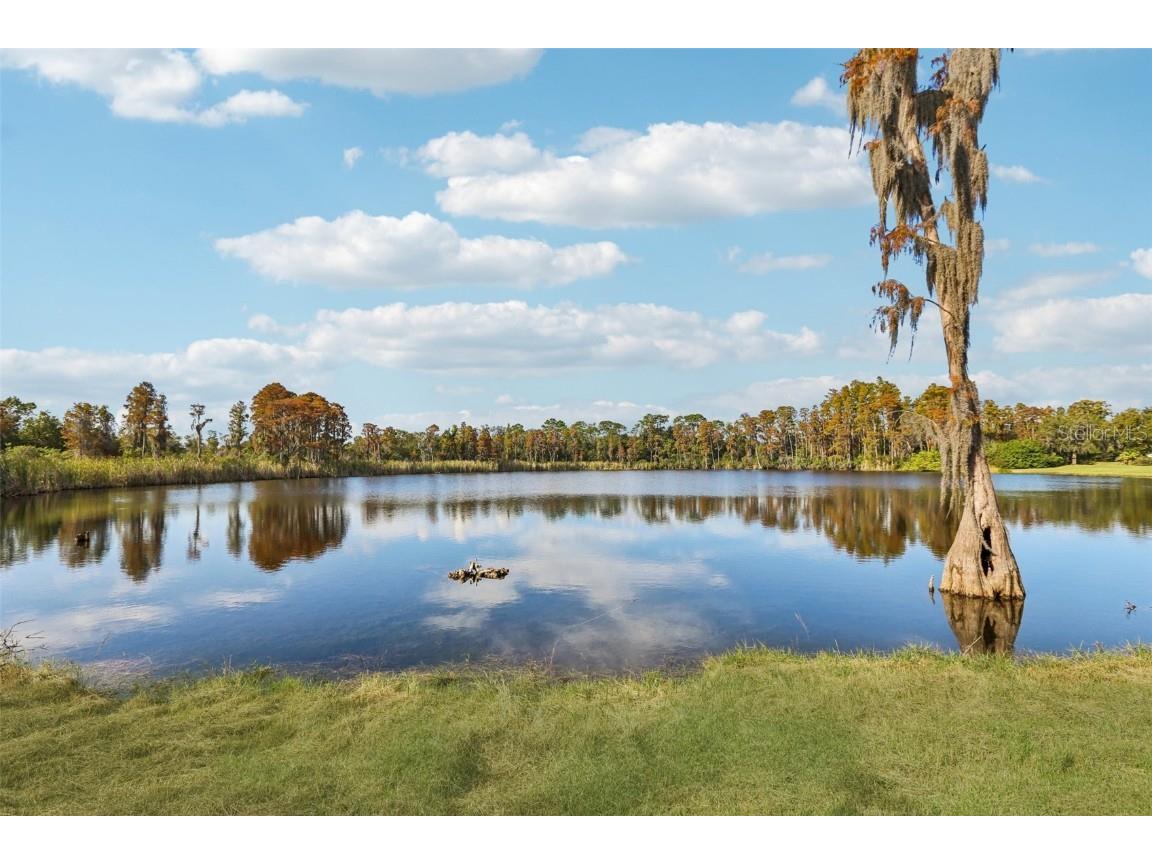 9107 Cypress Keep Lane Odessa FL 33556 TB8451818 image69