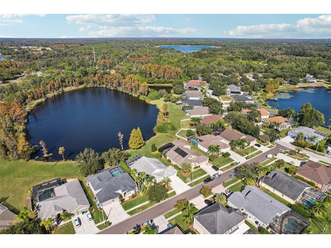 9107 Cypress Keep Lane Odessa FL 33556 TB8451818 image72