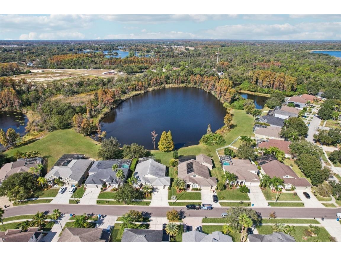 9107 Cypress Keep Lane Odessa FL 33556 TB8451818 image73