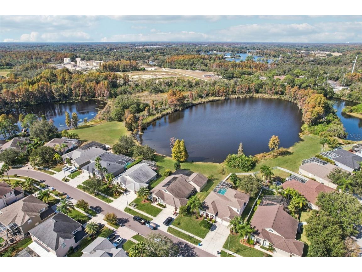 9107 Cypress Keep Lane Odessa FL 33556 TB8451818 image74