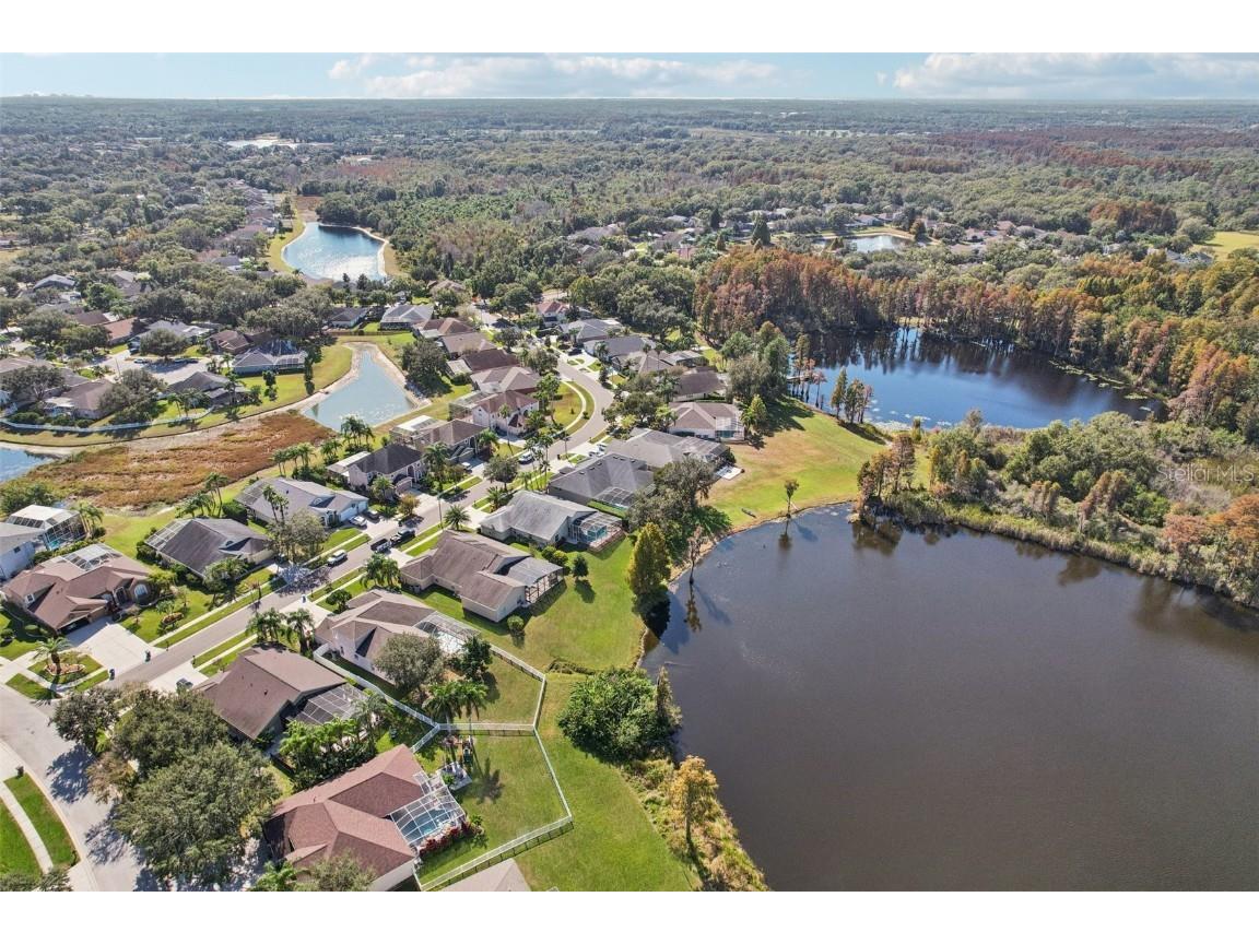 9107 Cypress Keep Lane Odessa FL 33556 TB8451818 image83