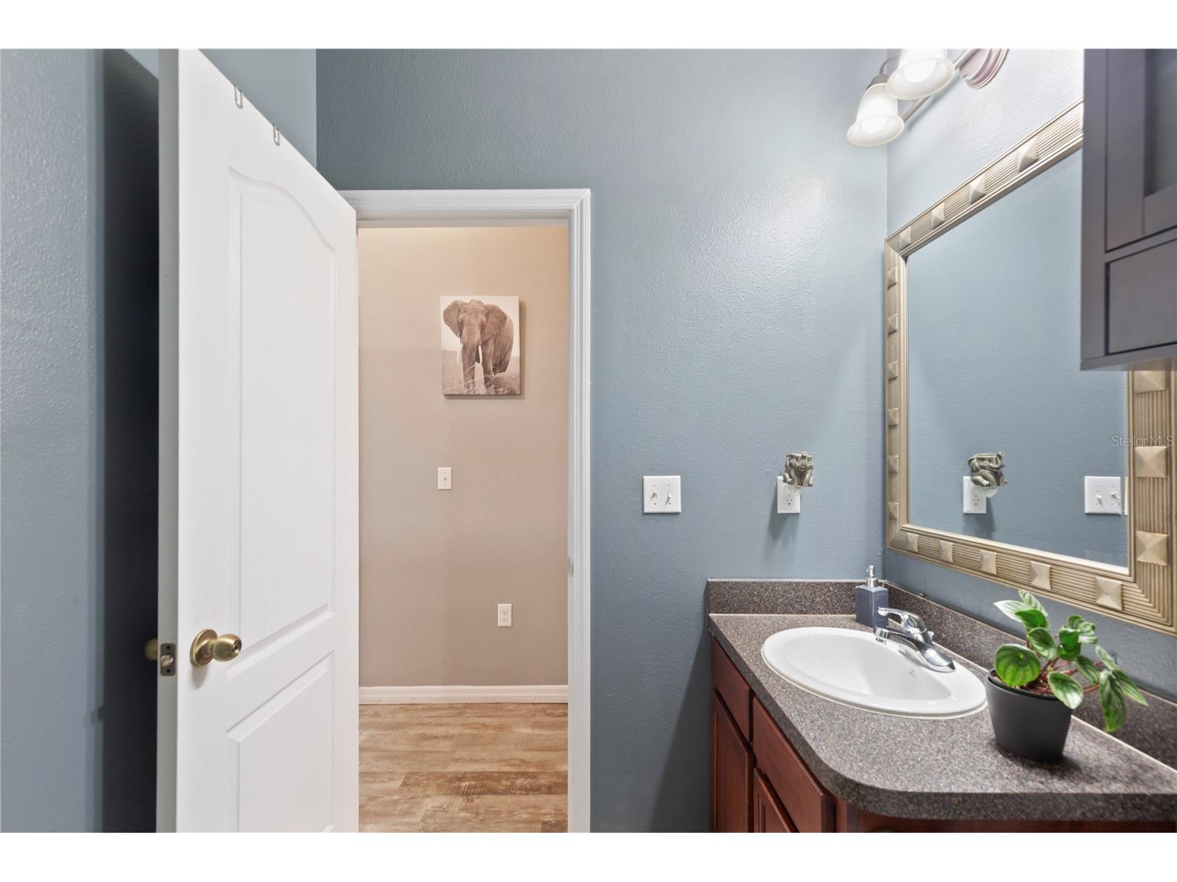 9107 Moonlit Meadows Loop Riverview FL 33578 TB8516736 image20