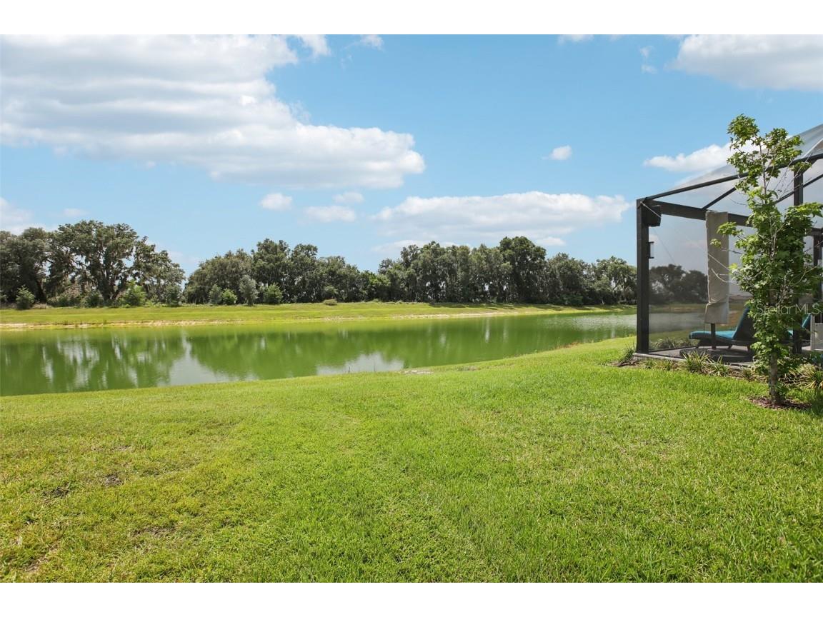 9107 Rally Spring Loop Wesley Chapel FL 33545 TB8397390 image36