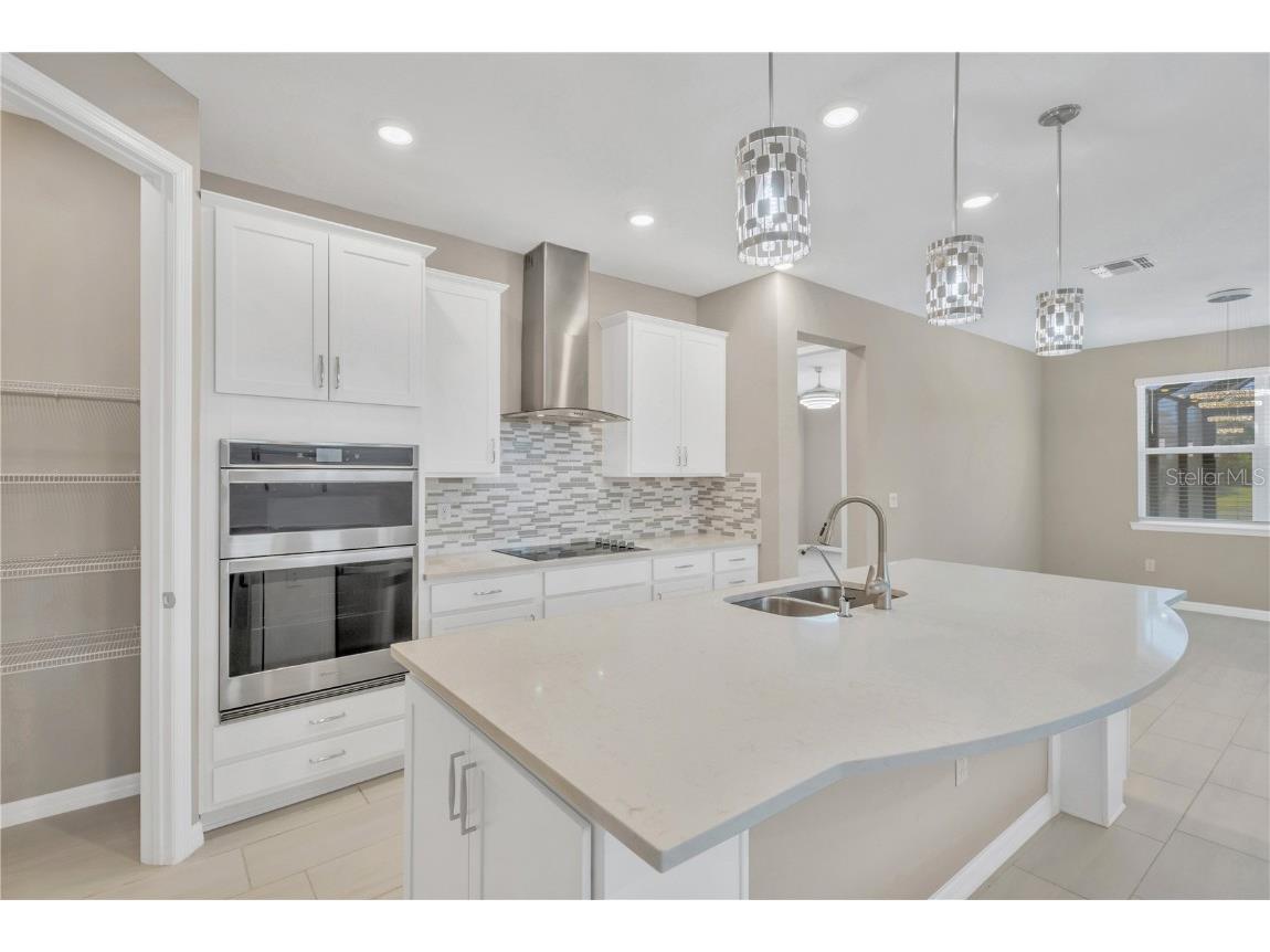 9107 Rally Spring Loop Wesley Chapel FL 33545 TB8461200 image14