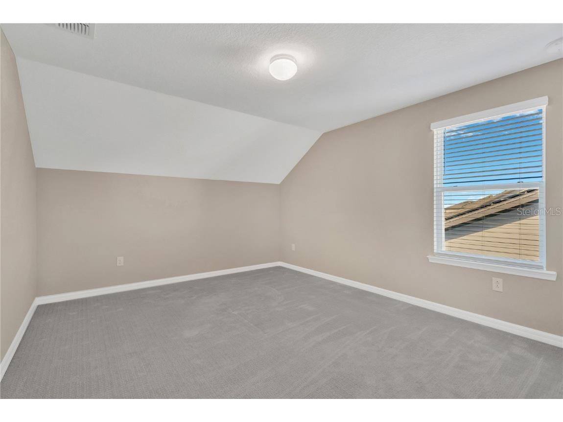 9107 Rally Spring Loop Wesley Chapel FL 33545 TB8461200 image28