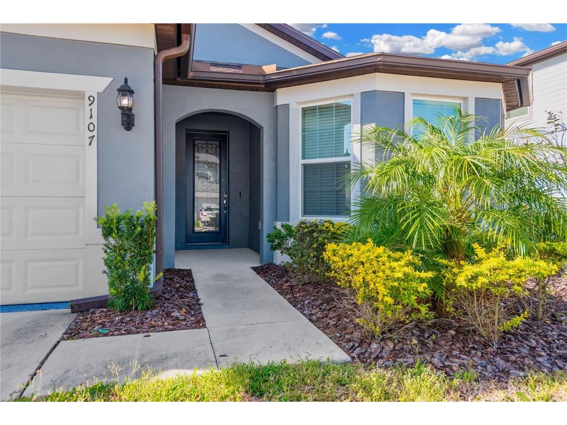 9107 Rally Spring Loop Wesley Chapel FL 33545 TB8461200 image3