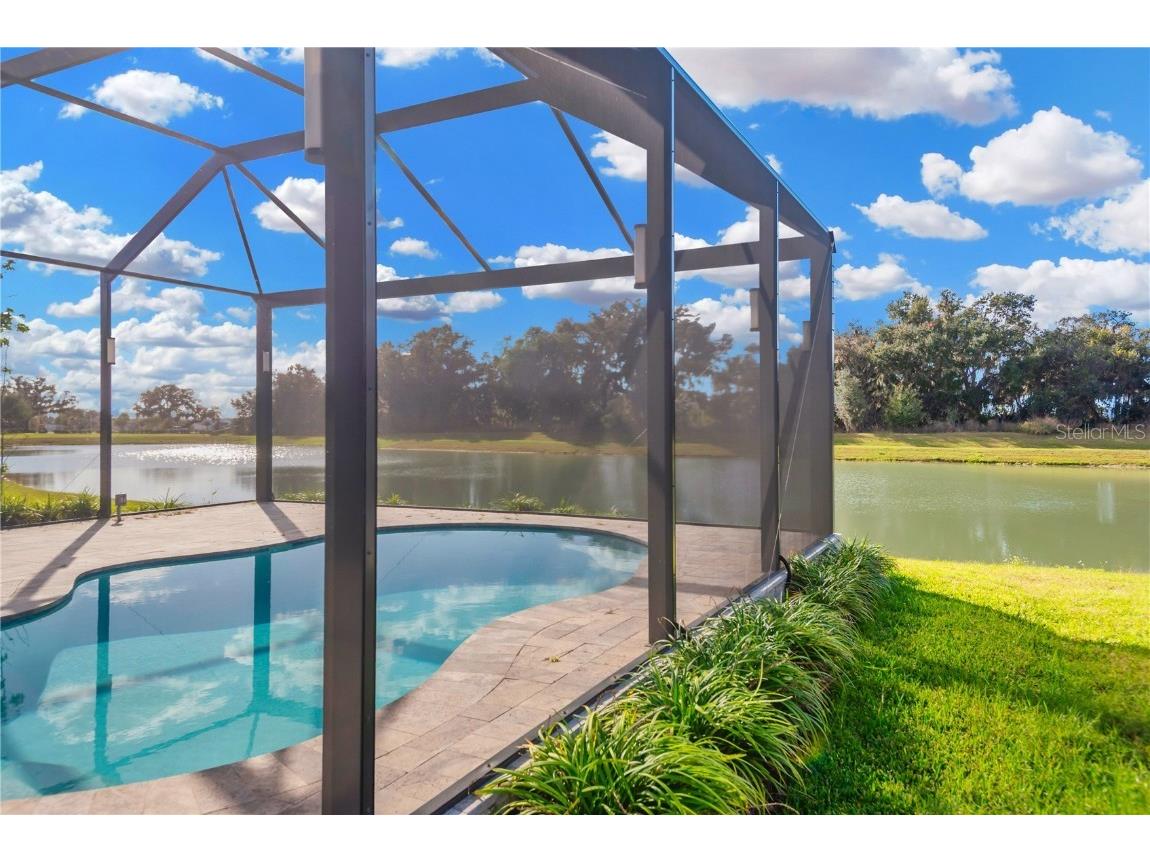 9107 Rally Spring Loop Wesley Chapel FL 33545 TB8461200 image39