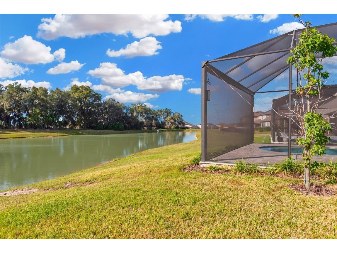 9107 Rally Spring Loop Wesley Chapel FL 33545 TB8461200 image40