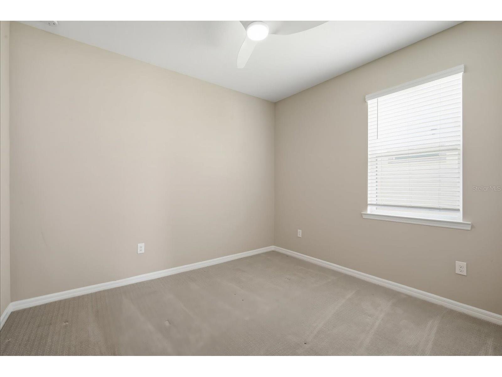 9107 Rally Spring Loop Wesley Chapel FL 33545 TB8512104 image21