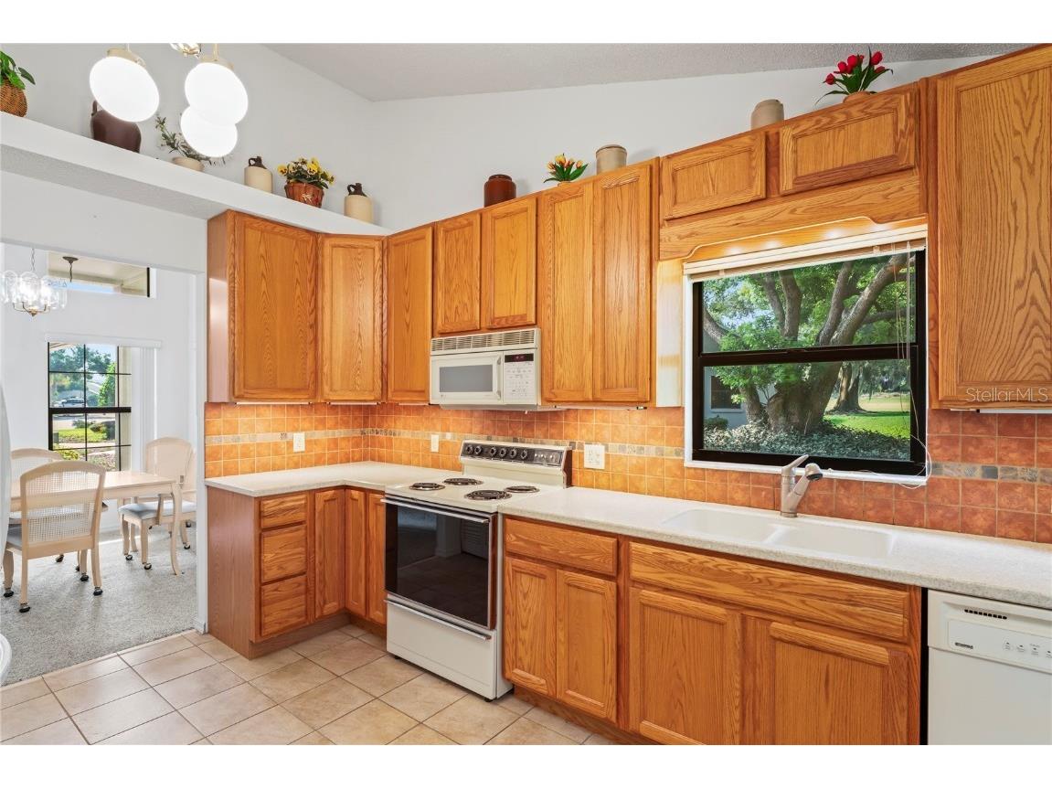 9108 Bassett Lane #B New Port Richey FL 34655 W7867135 image10