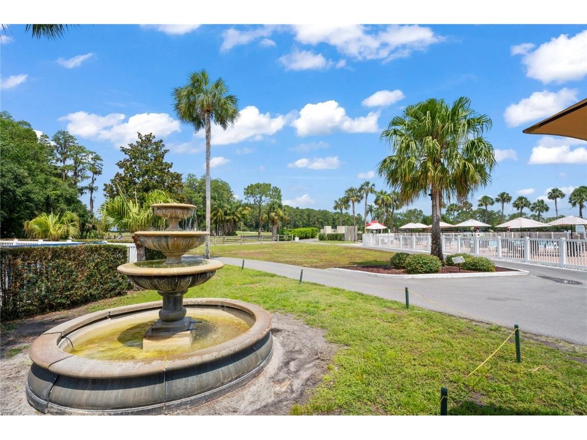 9108 Bassett Lane #B New Port Richey FL 34655 W7867135 image48