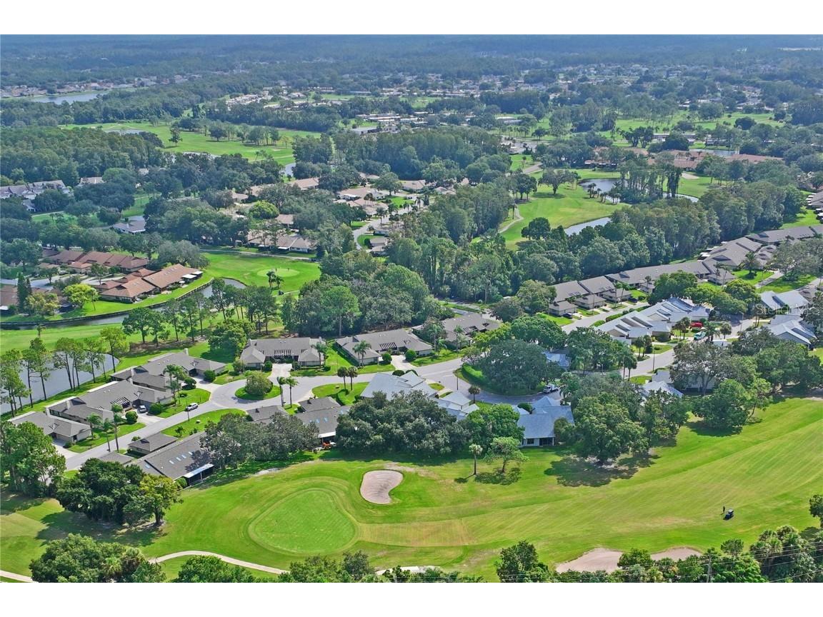 9108 Bassett Lane #B New Port Richey FL 34655 W7867135 image52