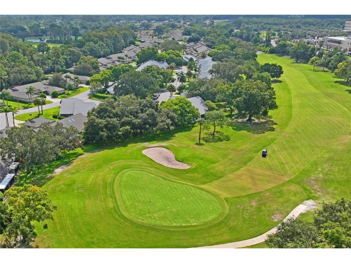 9108 Bassett Lane #B New Port Richey FL 34655 W7867135 image61