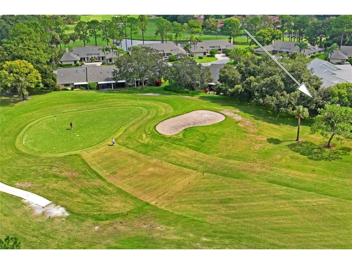 9108 Bassett Lane #B New Port Richey FL 34655 W7867135 image62