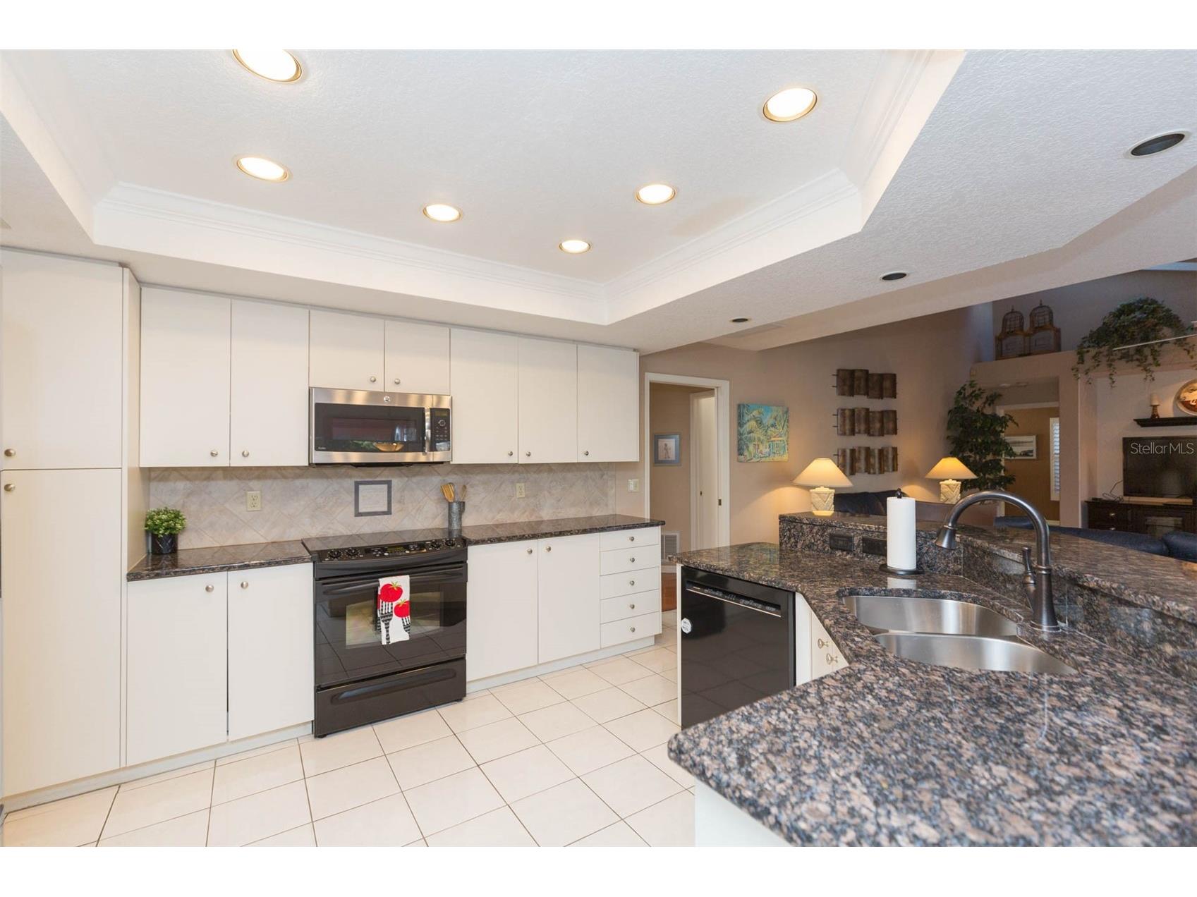 9108 Canberley Drive Tampa FL 33647 TB8464491 image15