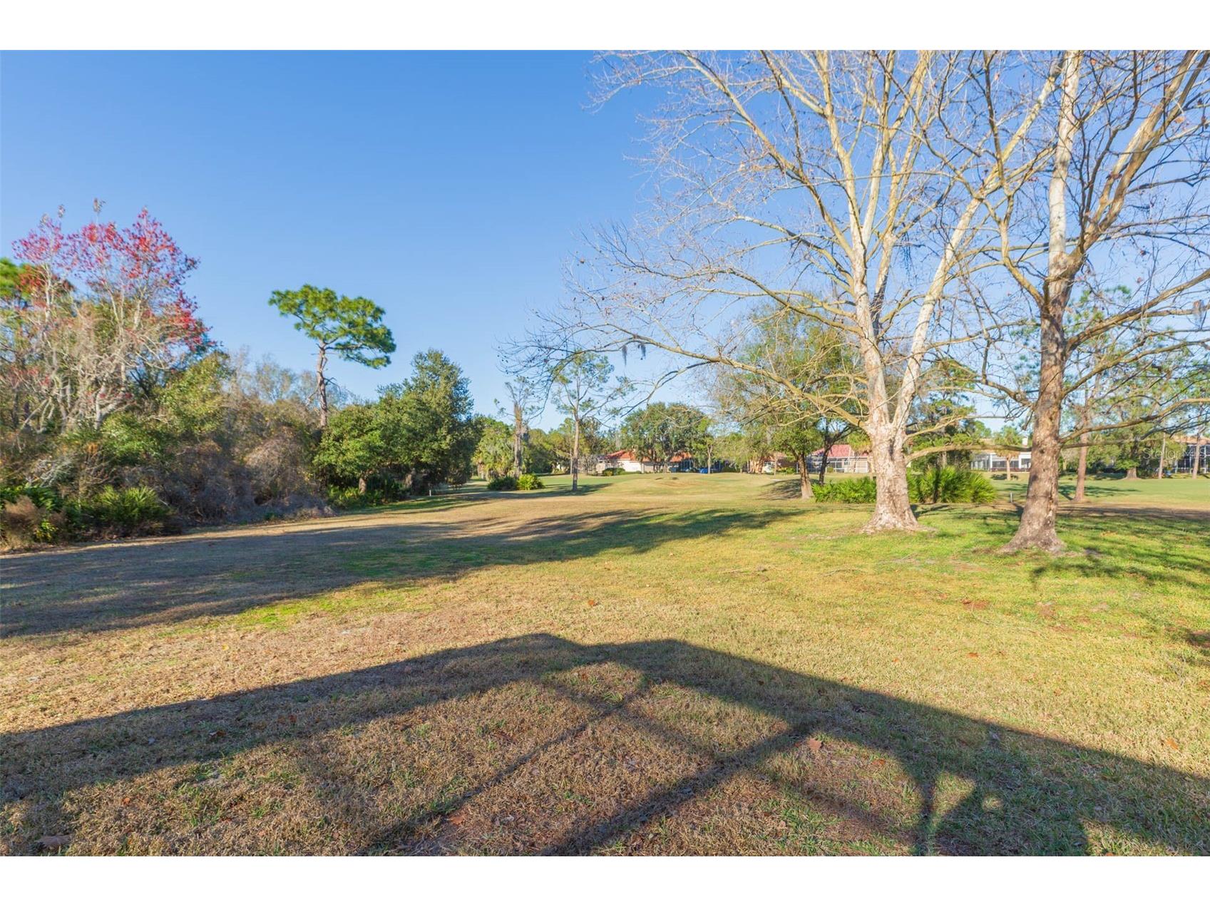 9108 Canberley Drive Tampa FL 33647 TB8464491 image48