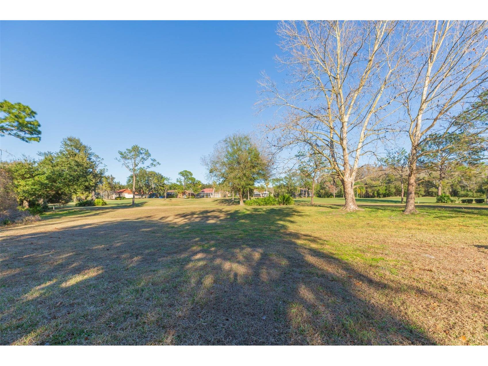 9108 Canberley Drive Tampa FL 33647 TB8464491 image49