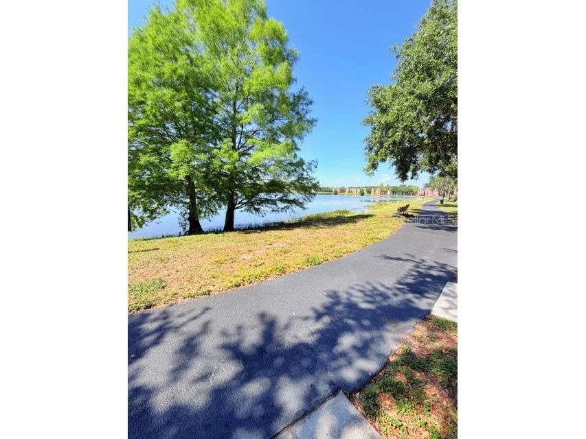 9108 Lake Chase Island Way #9108 Tampa FL 33626 TB8499380 image14