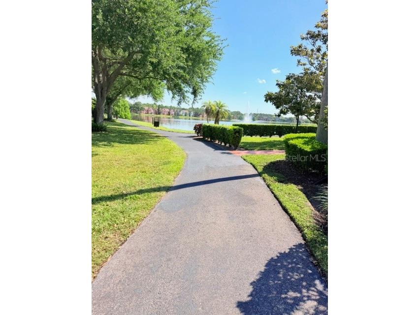9108 Lake Chase Island Way #9108 Tampa FL 33626 TB8499380 image15