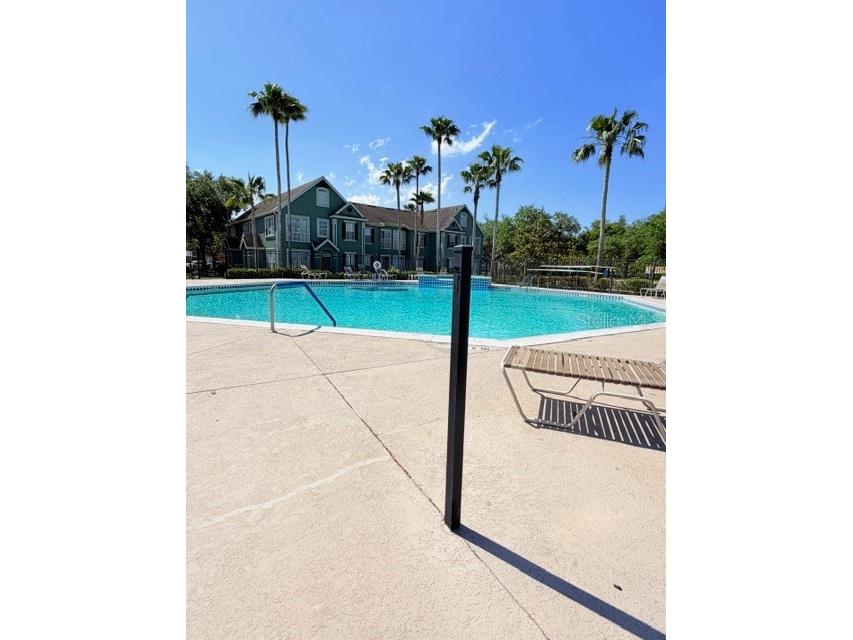 9108 Lake Chase Island Way #9108 Tampa FL 33626 TB8499380 image16