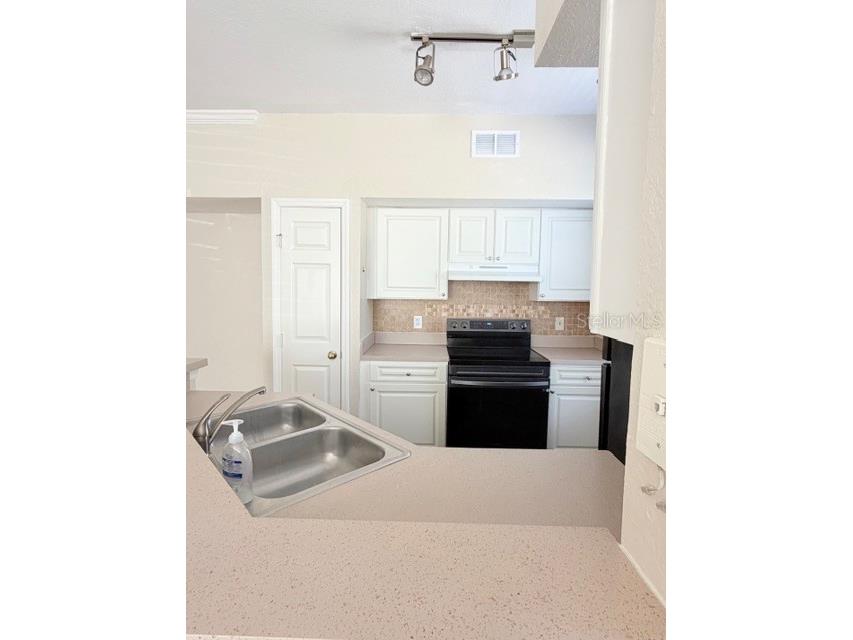 9108 Lake Chase Island Way #9108 Tampa FL 33626 TB8499380 image4