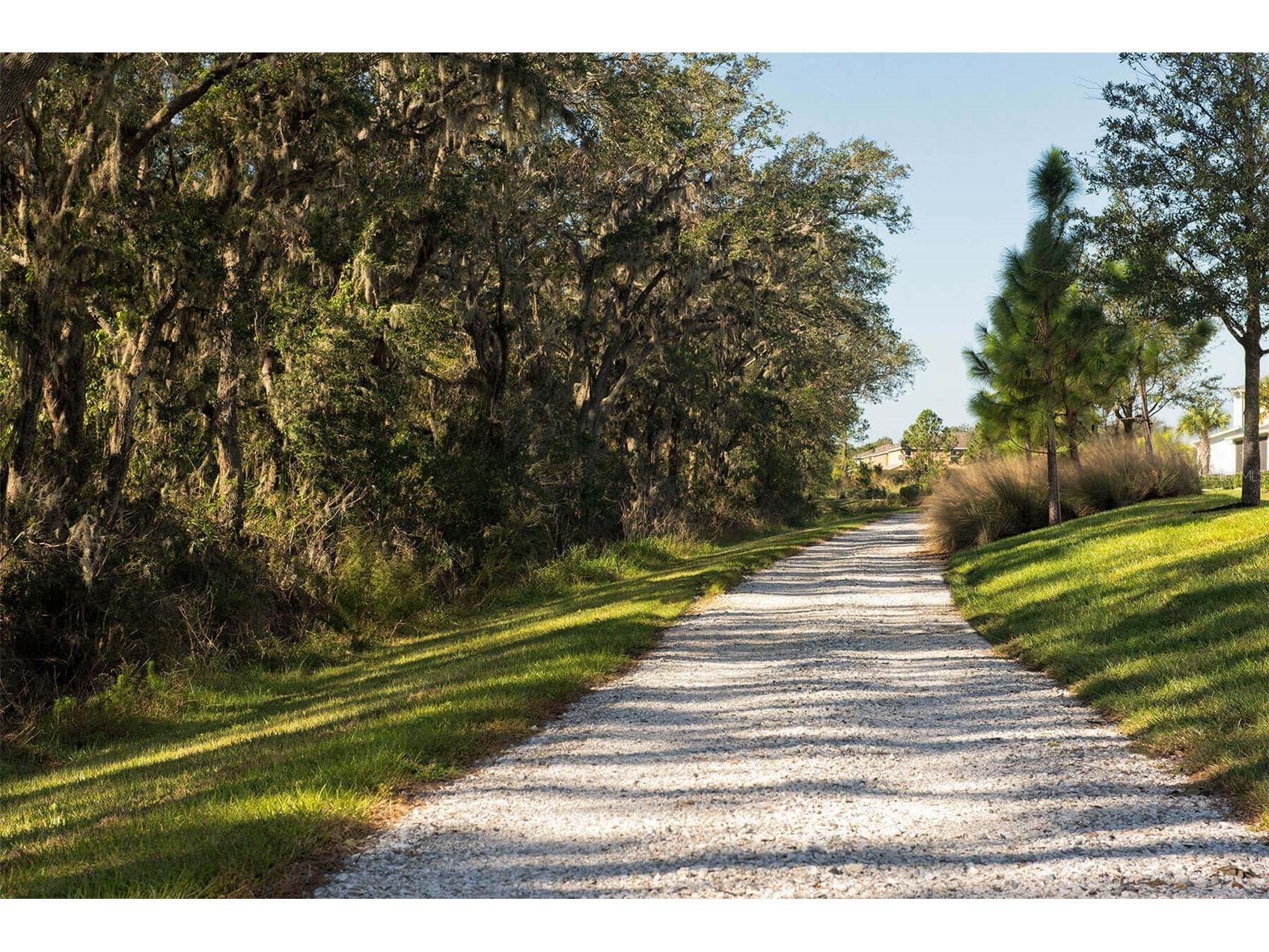 9109 Warm Springs Circle Parrish FL 34219 R4911488 image68