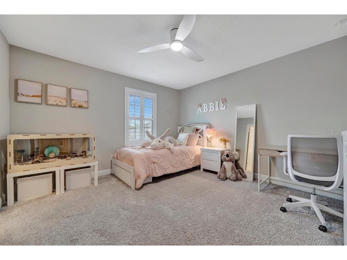 9109 Warm Springs Circle Parrish FL 34219 TB8417176 image19