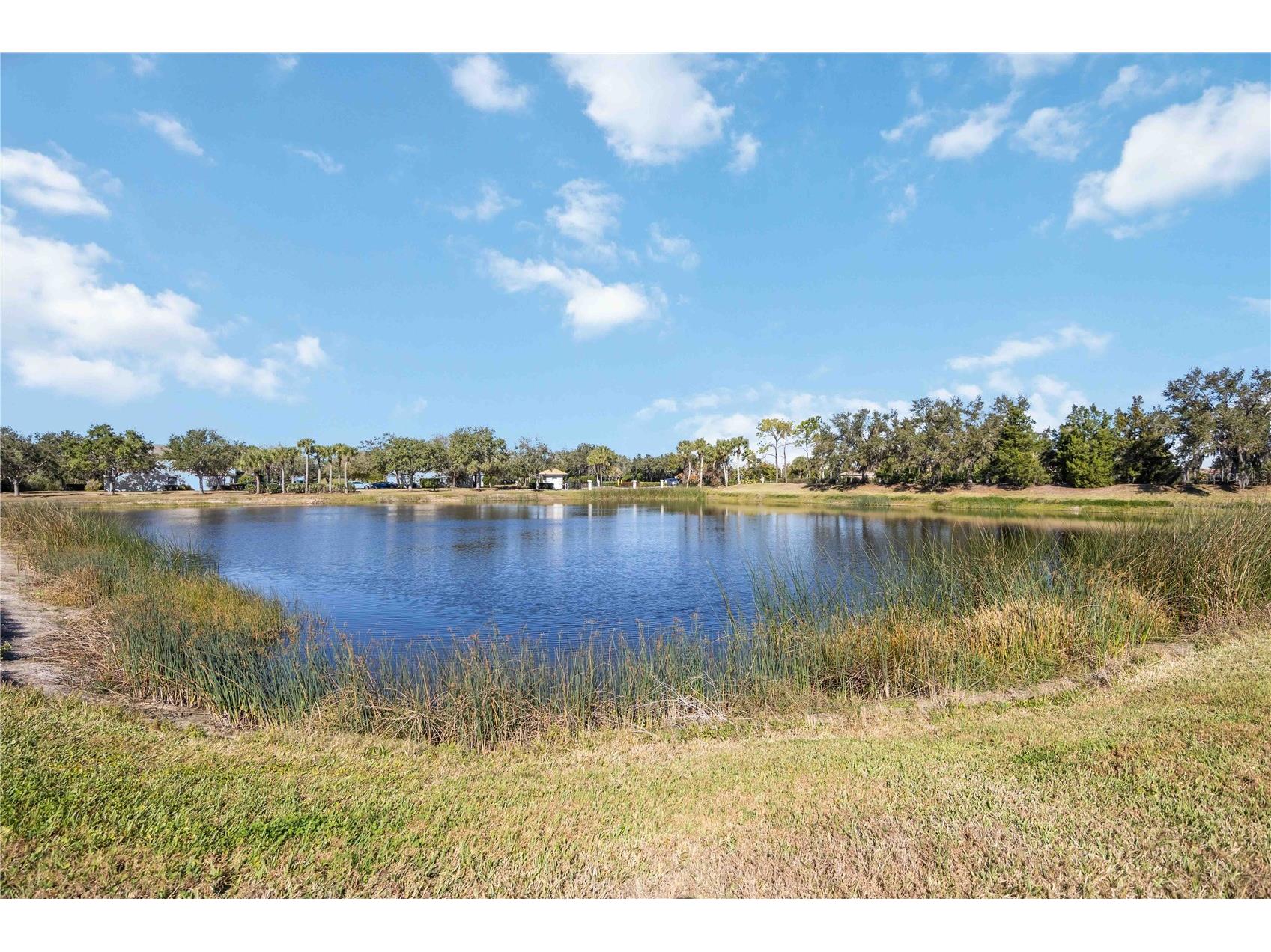 9109 Winter Harbour Way Bradenton FL 34212 A4680383 image48