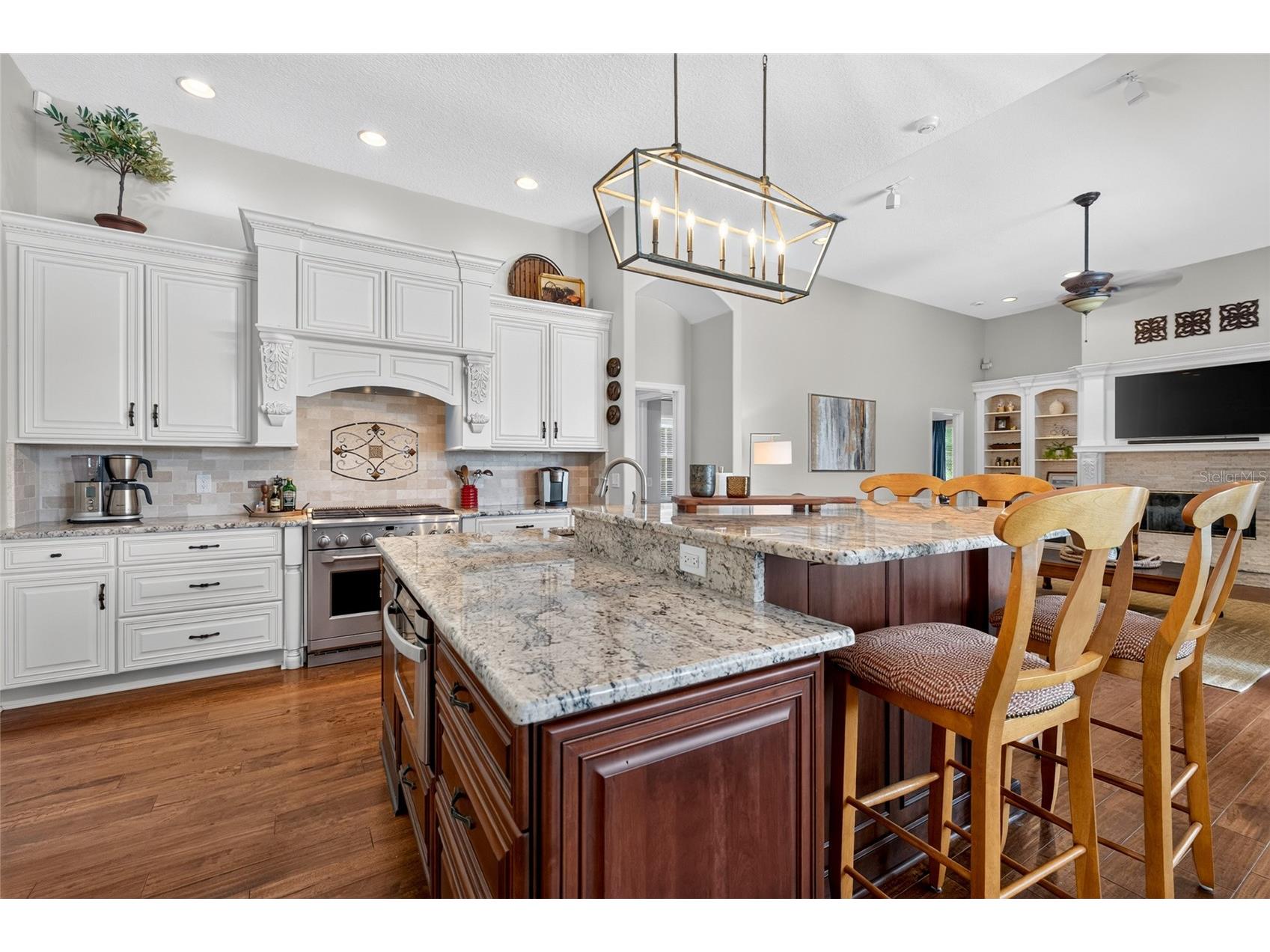 9109 Woodridge Run Drive Tampa FL 33647 TB8524979 image18