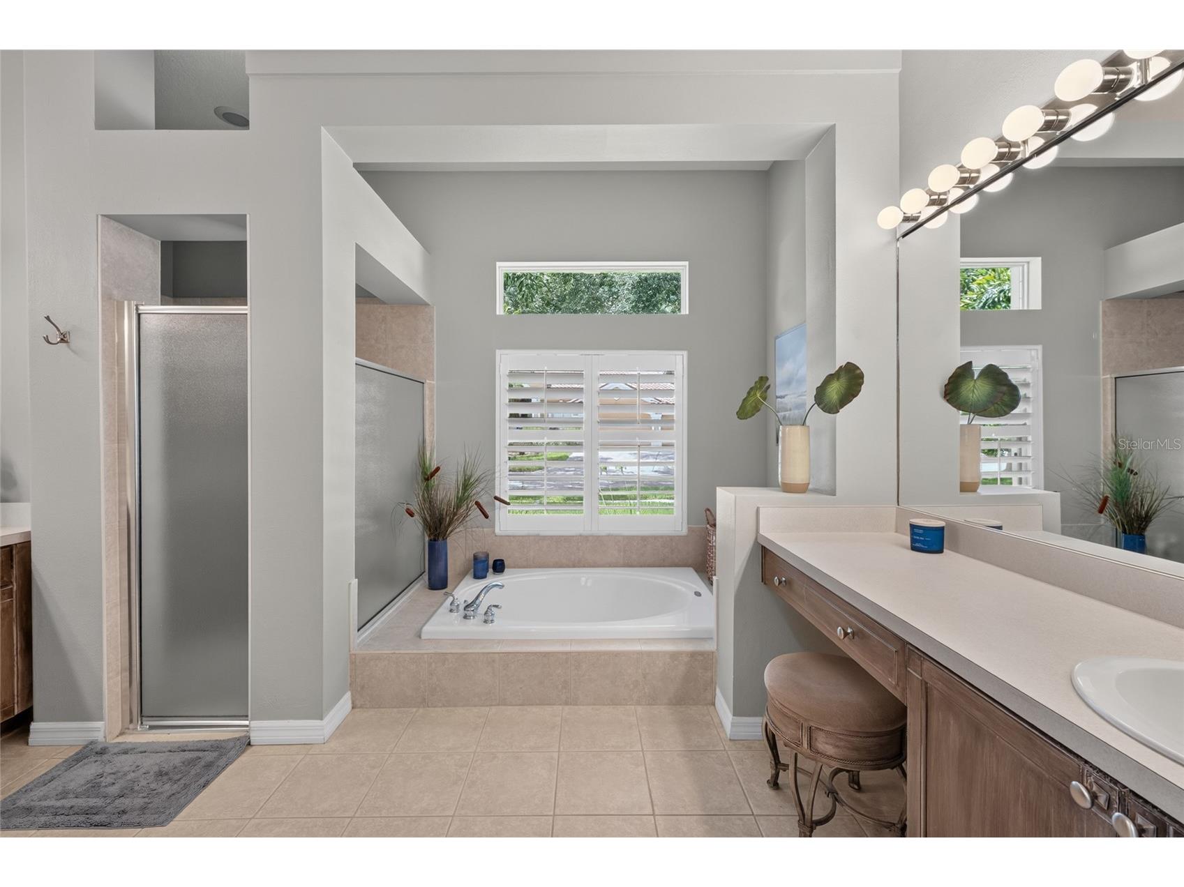 9109 Woodridge Run Drive Tampa FL 33647 TB8524979 image34