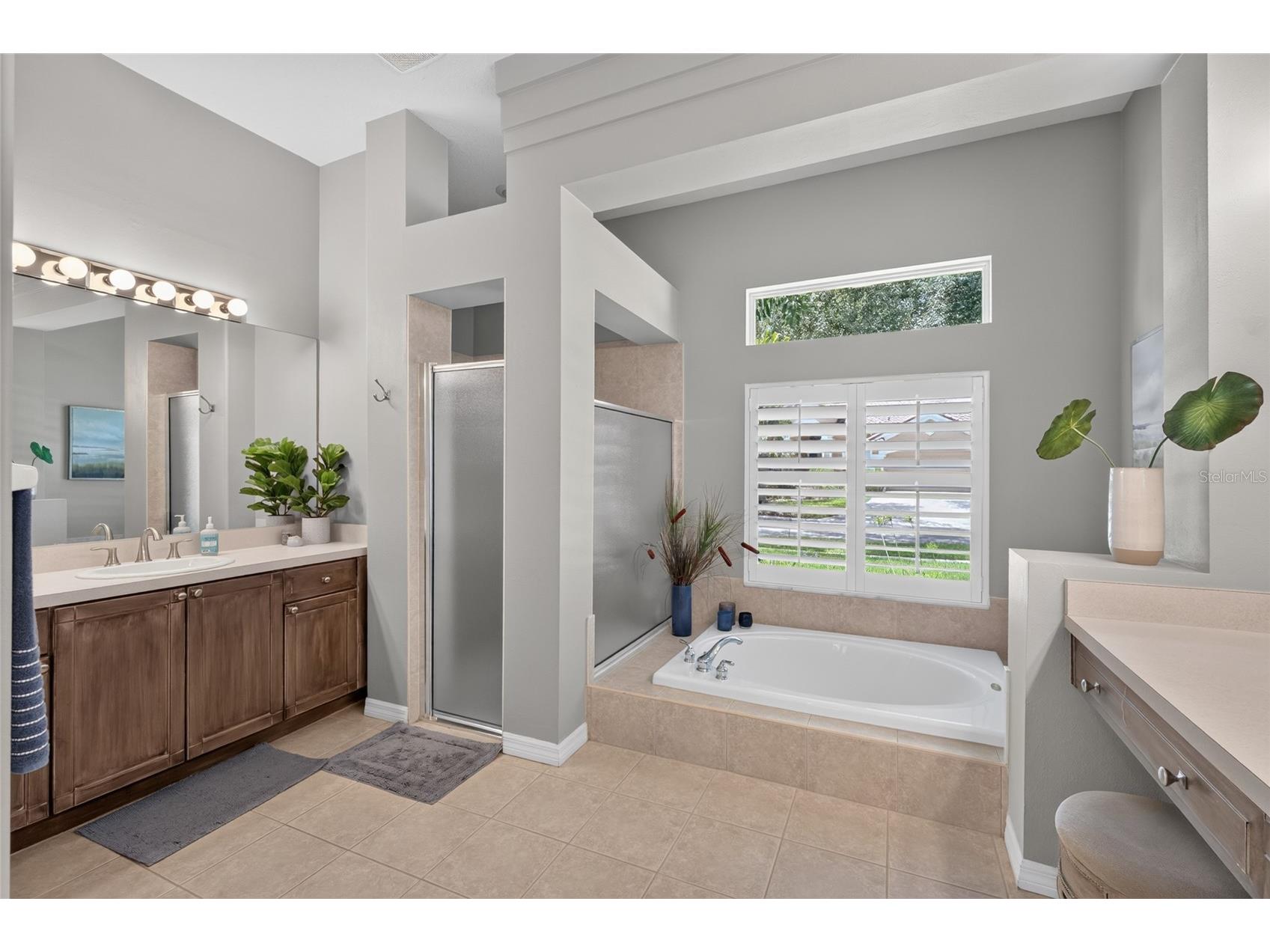 9109 Woodridge Run Drive Tampa FL 33647 TB8524979 image35