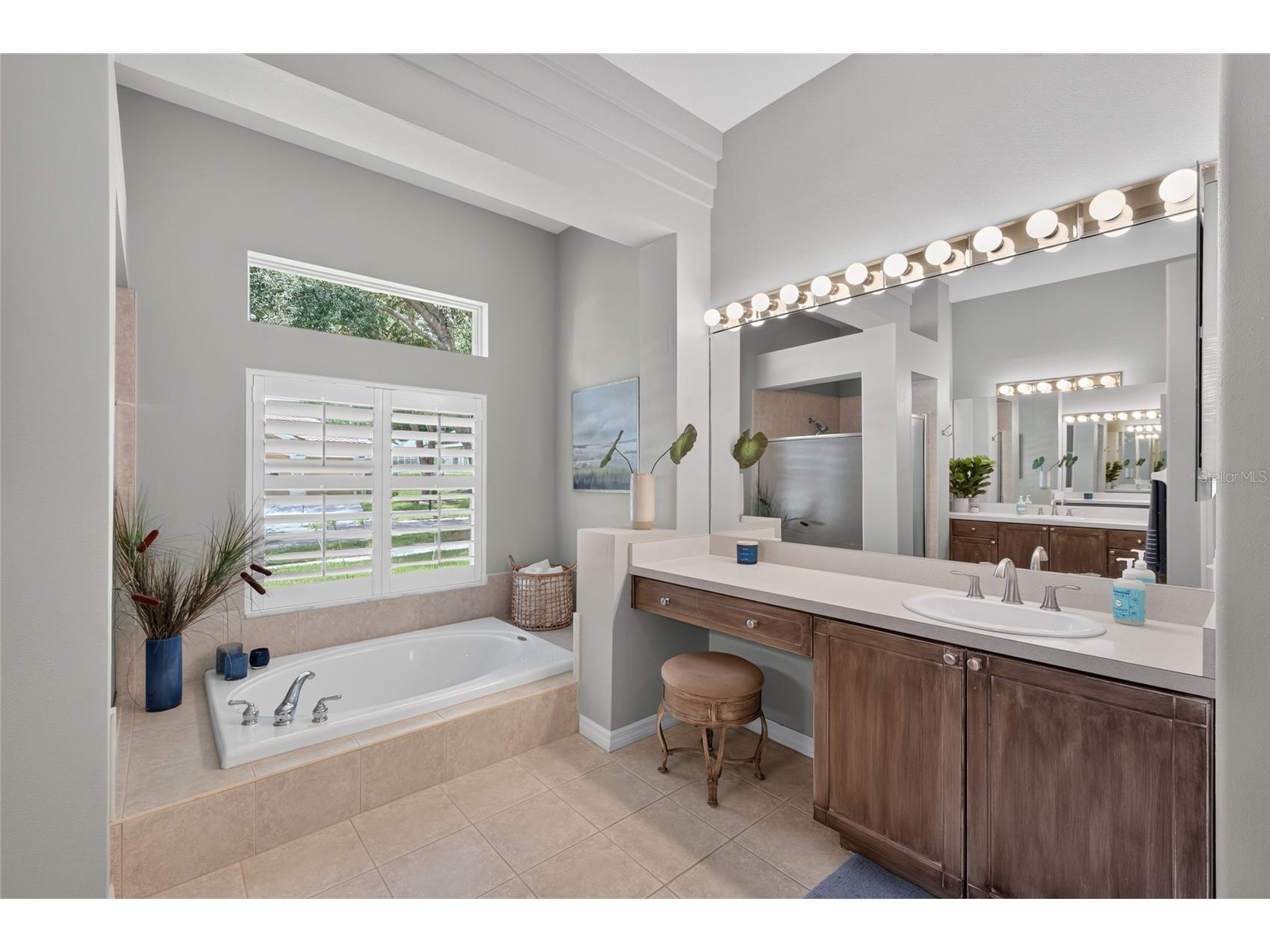 9109 Woodridge Run Drive Tampa FL 33647 TB8524979 image36