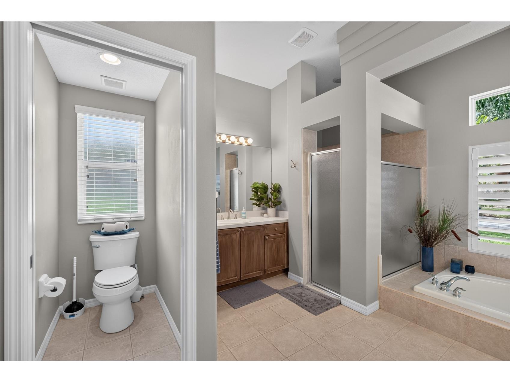 9109 Woodridge Run Drive Tampa FL 33647 TB8524979 image37