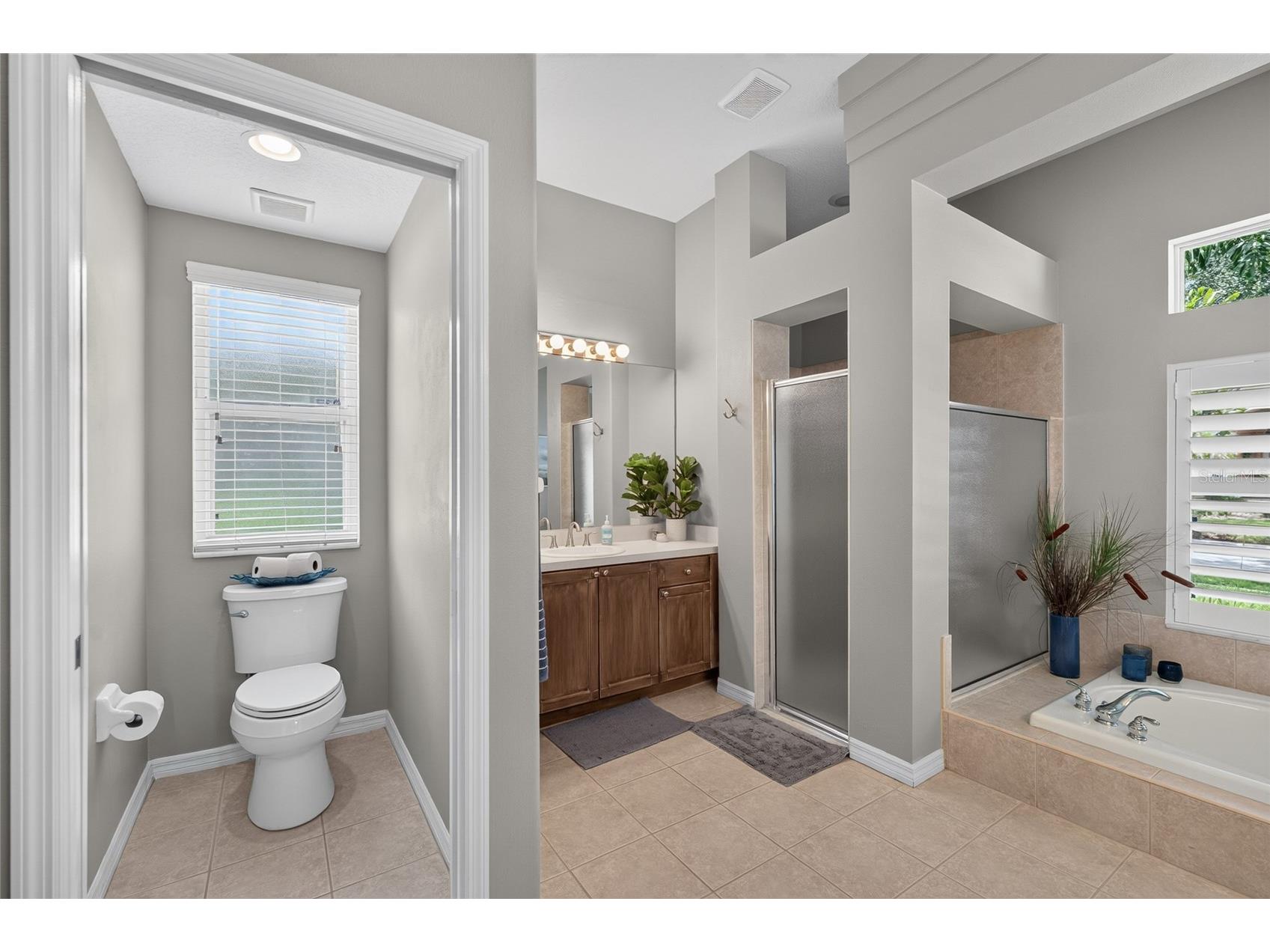 9109 Woodridge Run Drive Tampa FL 33647 TB8524979 image48