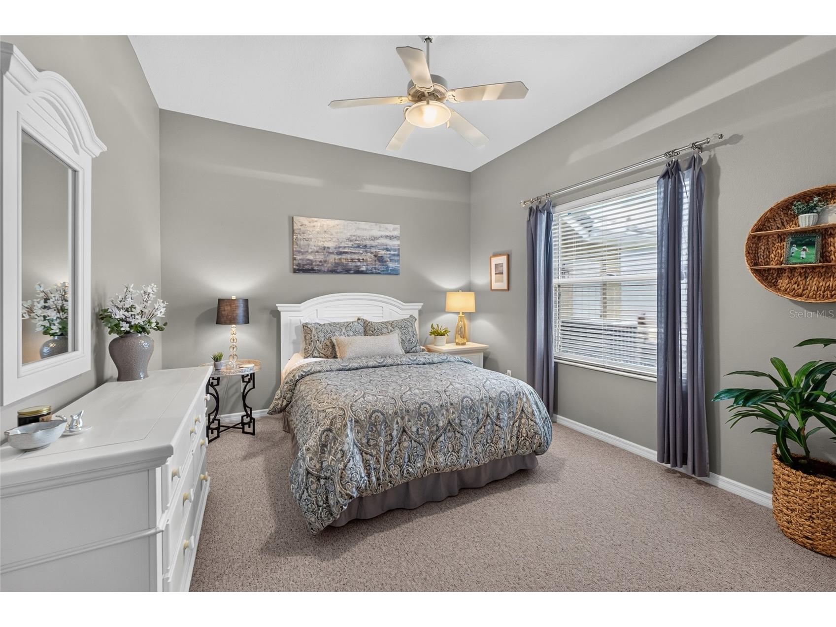 9109 Woodridge Run Drive Tampa FL 33647 TB8524979 image50