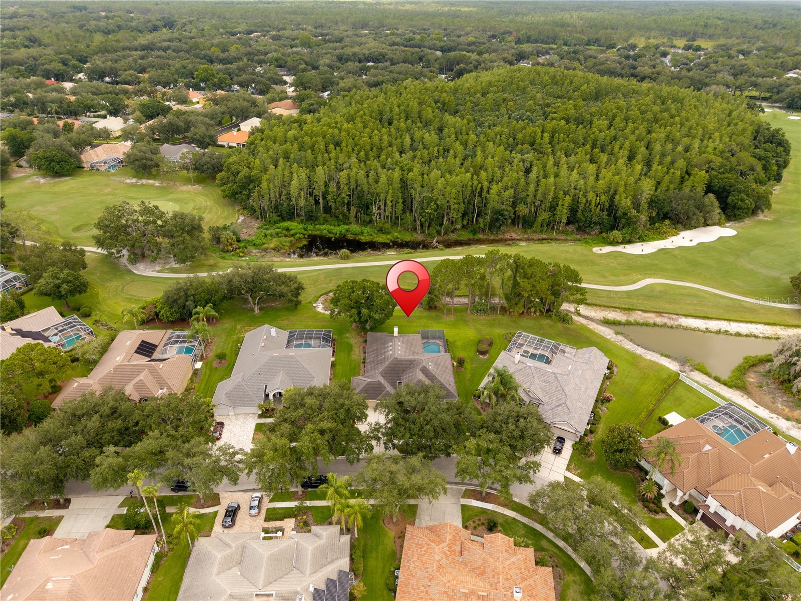 9109 Woodridge Run Drive Tampa FL 33647 TB8524979 image66