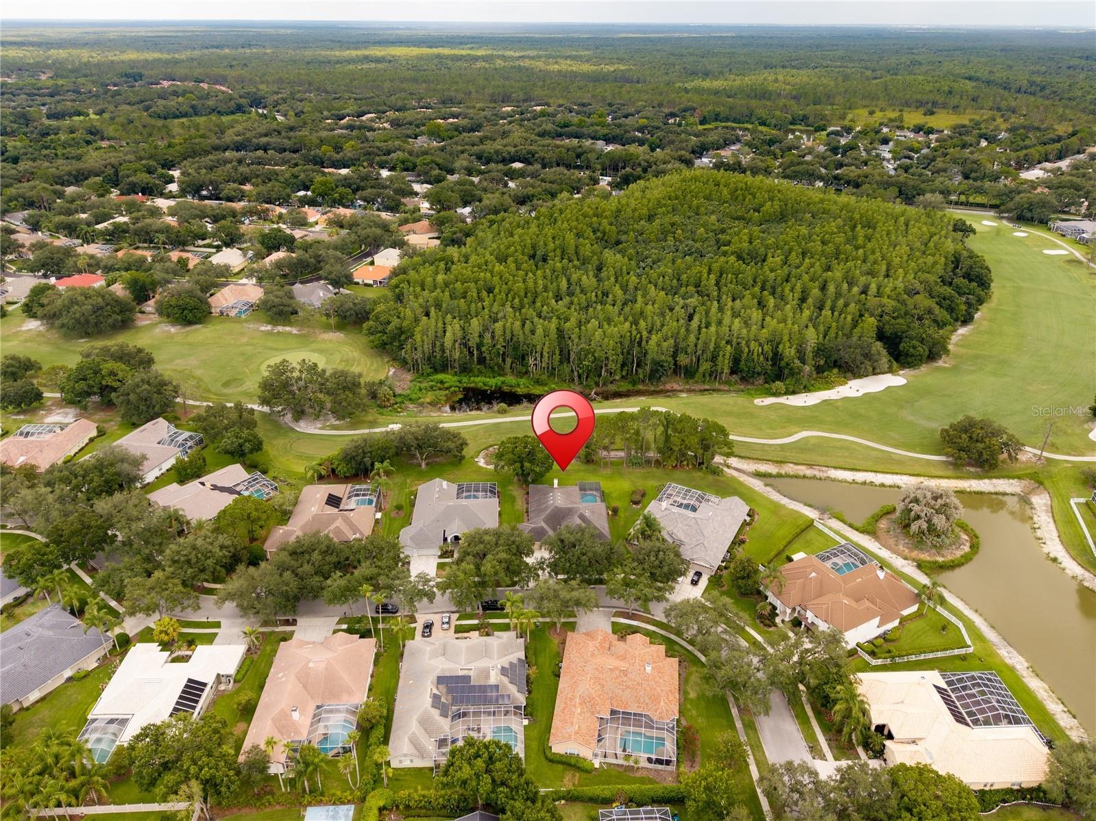 9109 Woodridge Run Drive Tampa FL 33647 TB8524979 image67