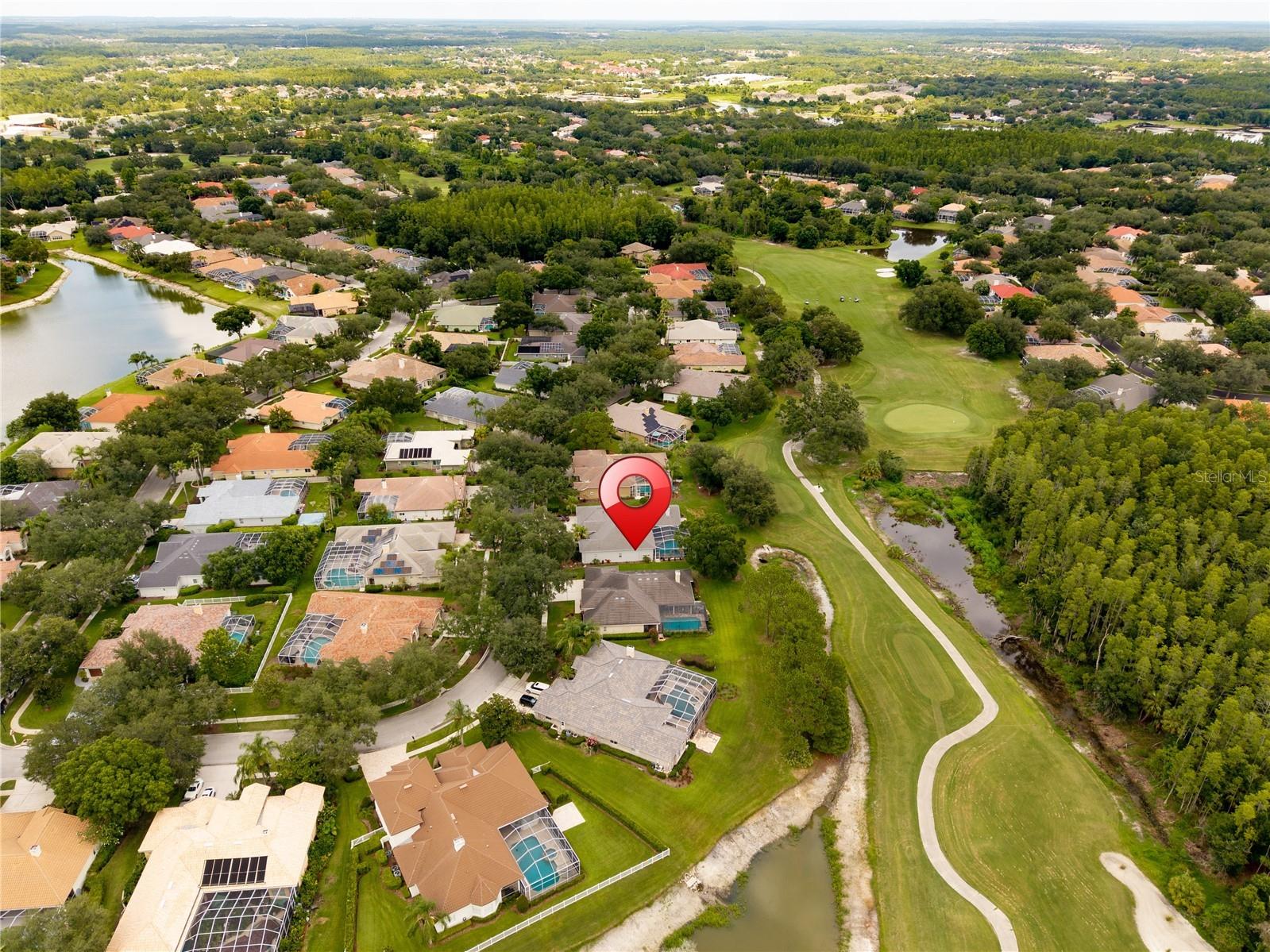 9109 Woodridge Run Drive Tampa FL 33647 TB8524979 image68