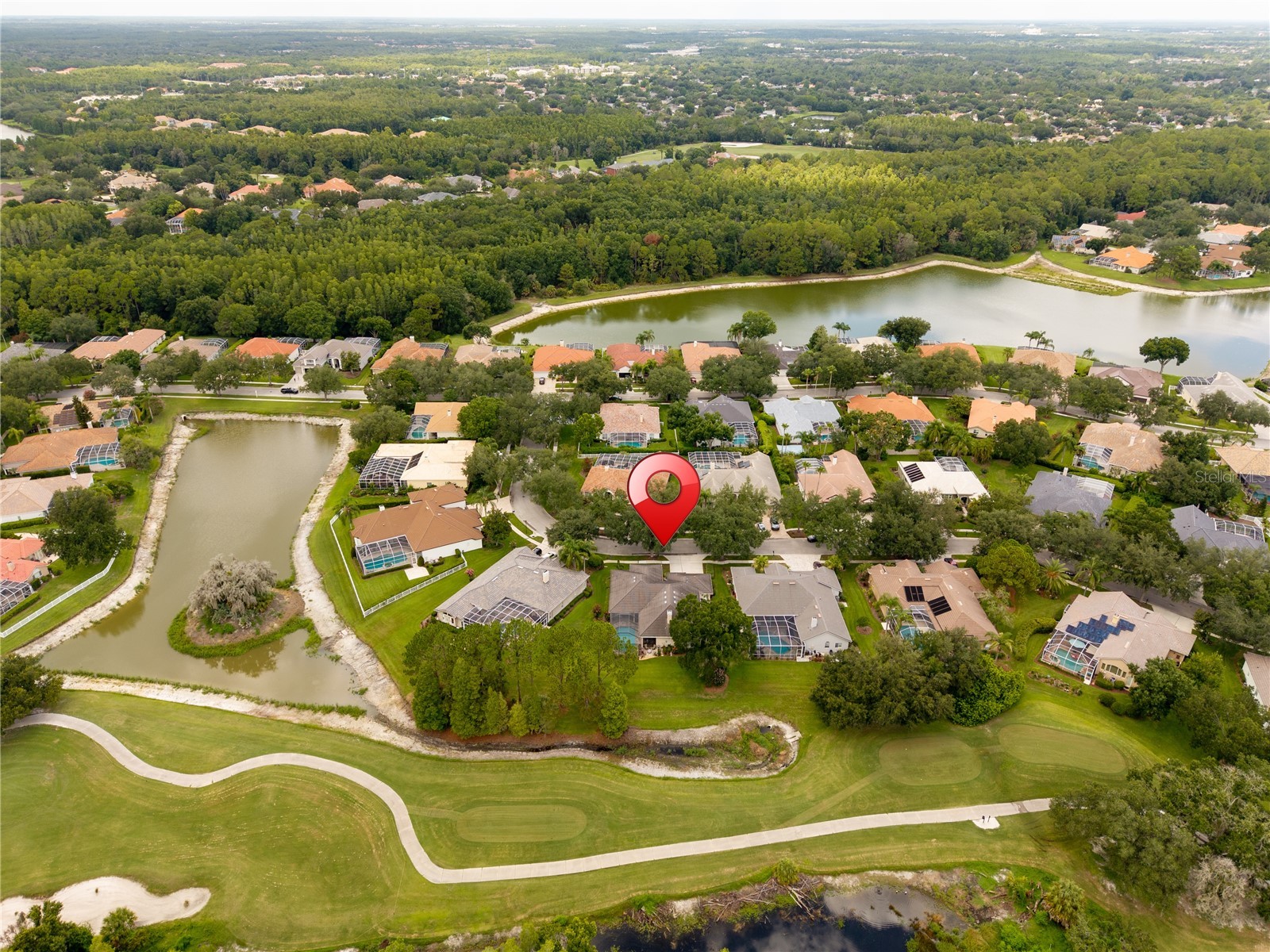 9109 Woodridge Run Drive Tampa FL 33647 TB8524979 image69