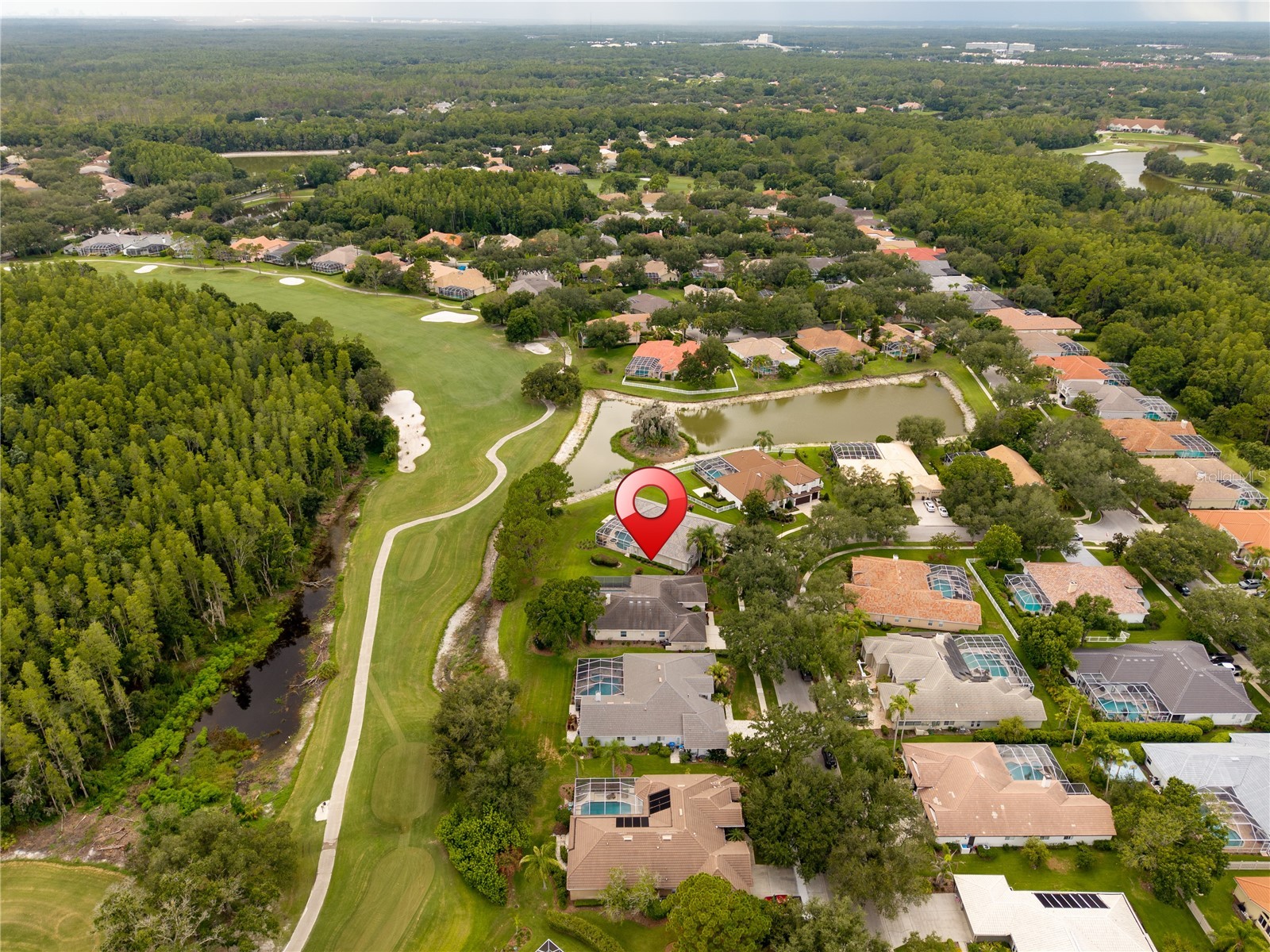 9109 Woodridge Run Drive Tampa FL 33647 TB8524979 image70