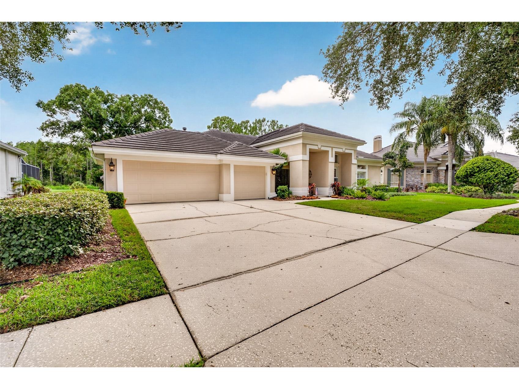 9109 Woodridge Run Drive Tampa FL 33647 TB8524979 image71