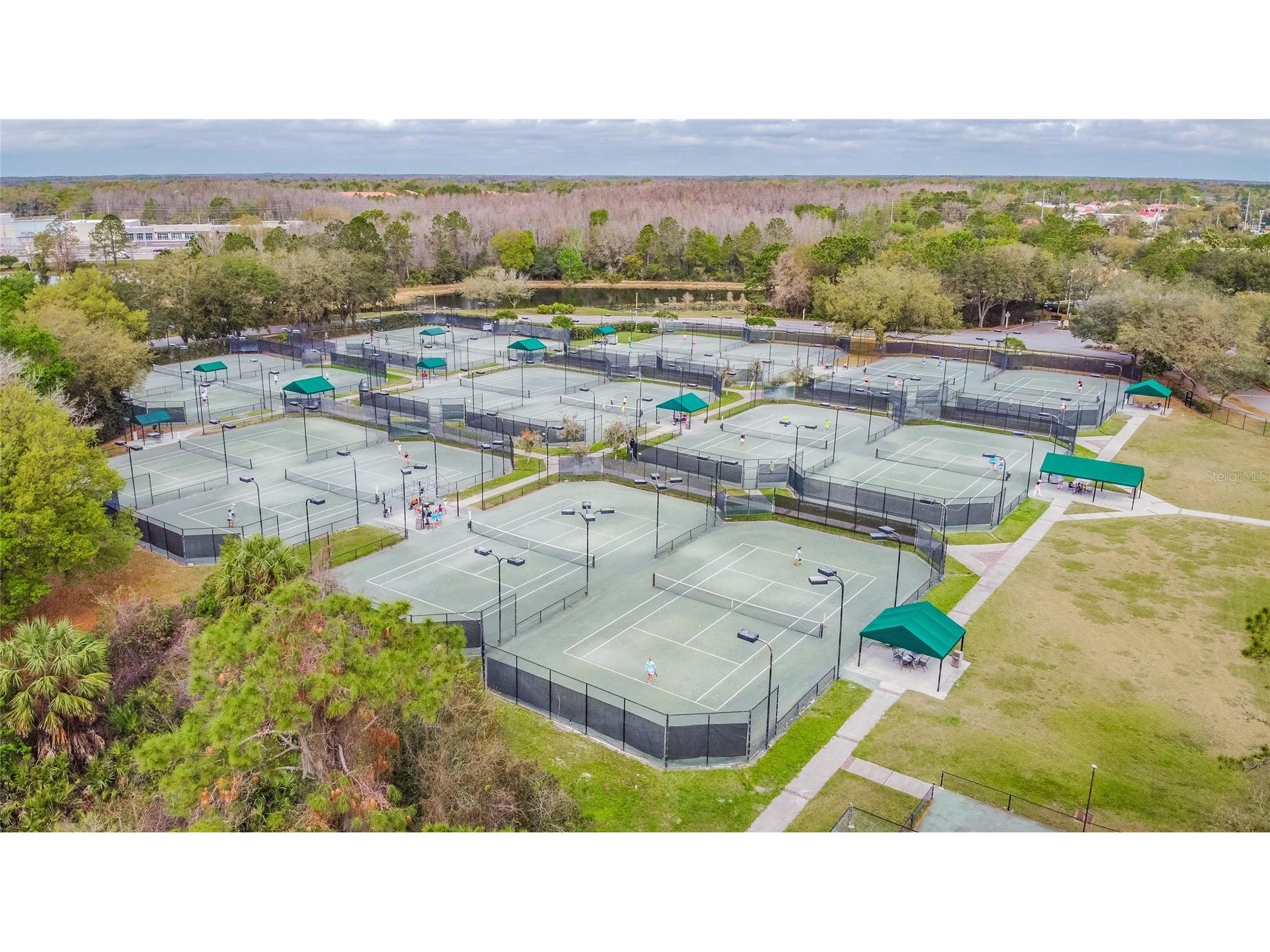9109 Woodridge Run Drive Tampa FL 33647 TB8524979 image81