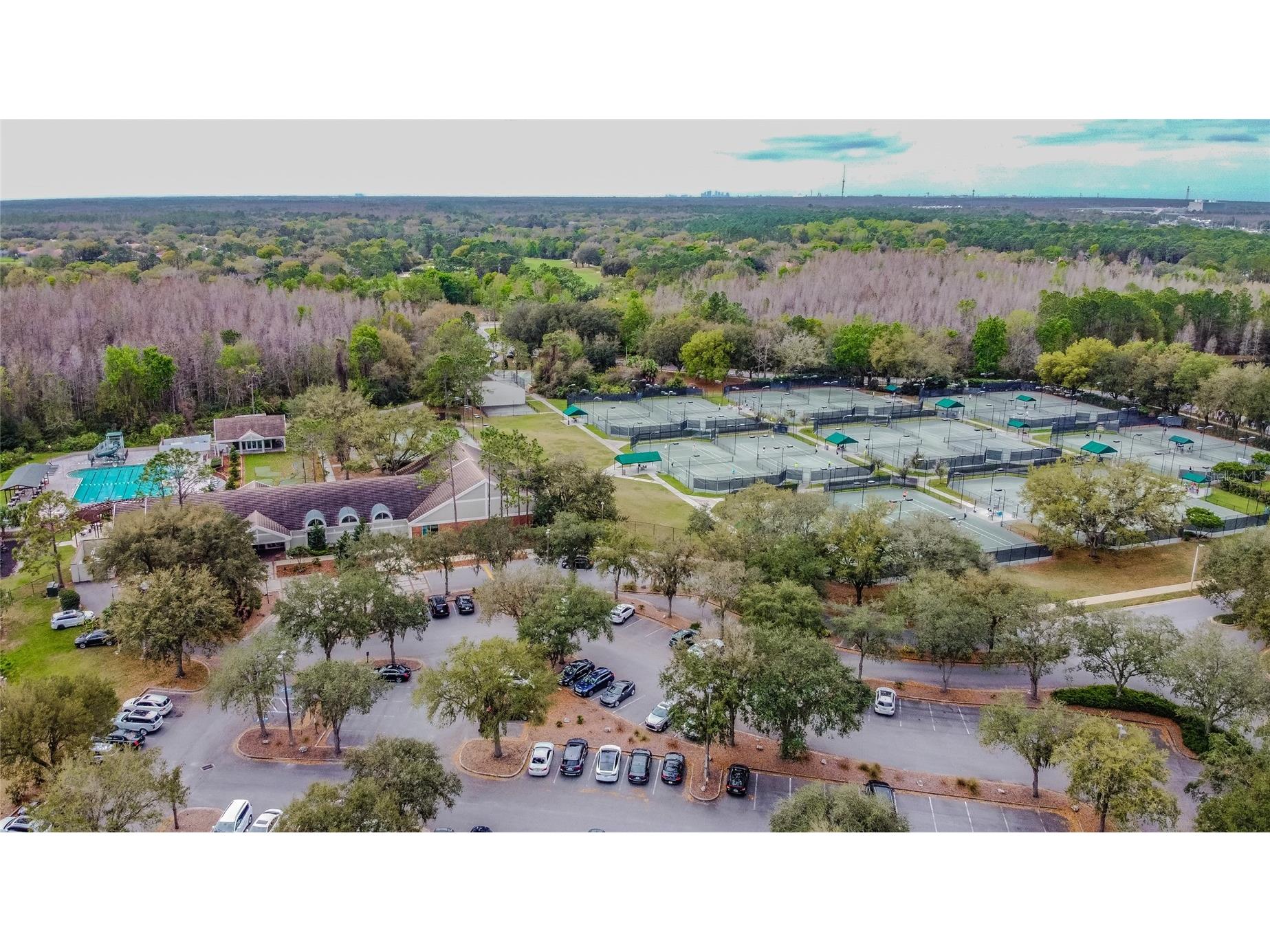 9109 Woodridge Run Drive Tampa FL 33647 TB8524979 image84