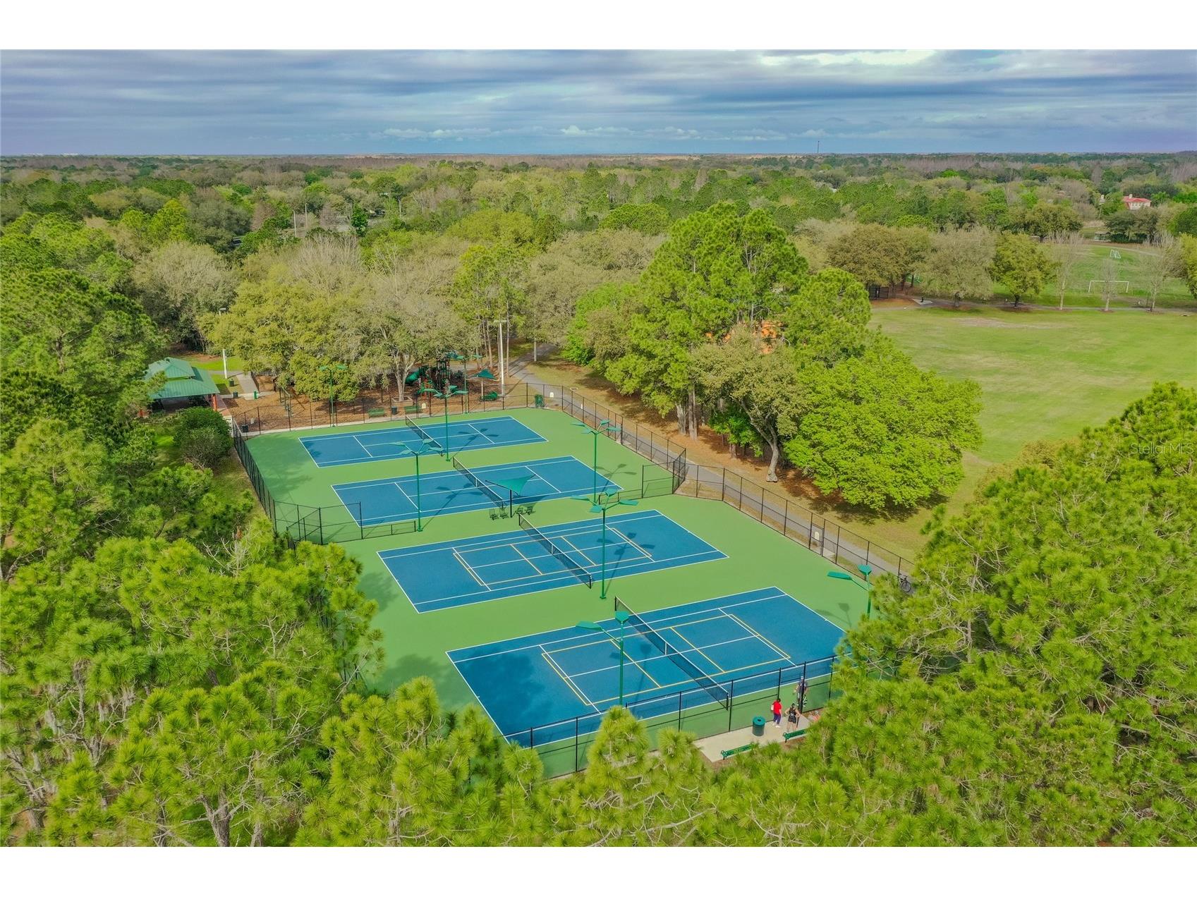 9109 Woodridge Run Drive Tampa FL 33647 TB8524979 image86
