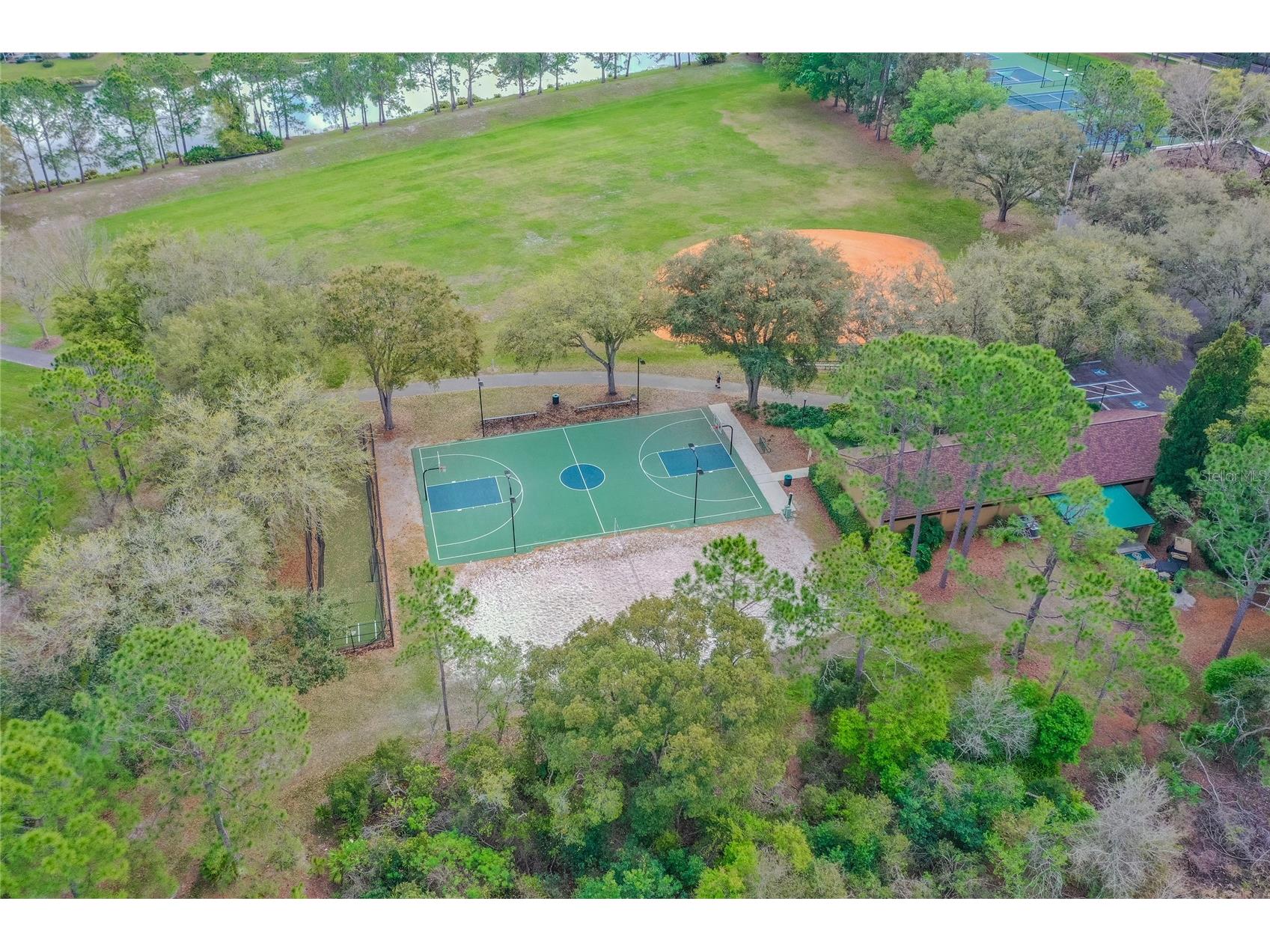 9109 Woodridge Run Drive Tampa FL 33647 TB8524979 image94